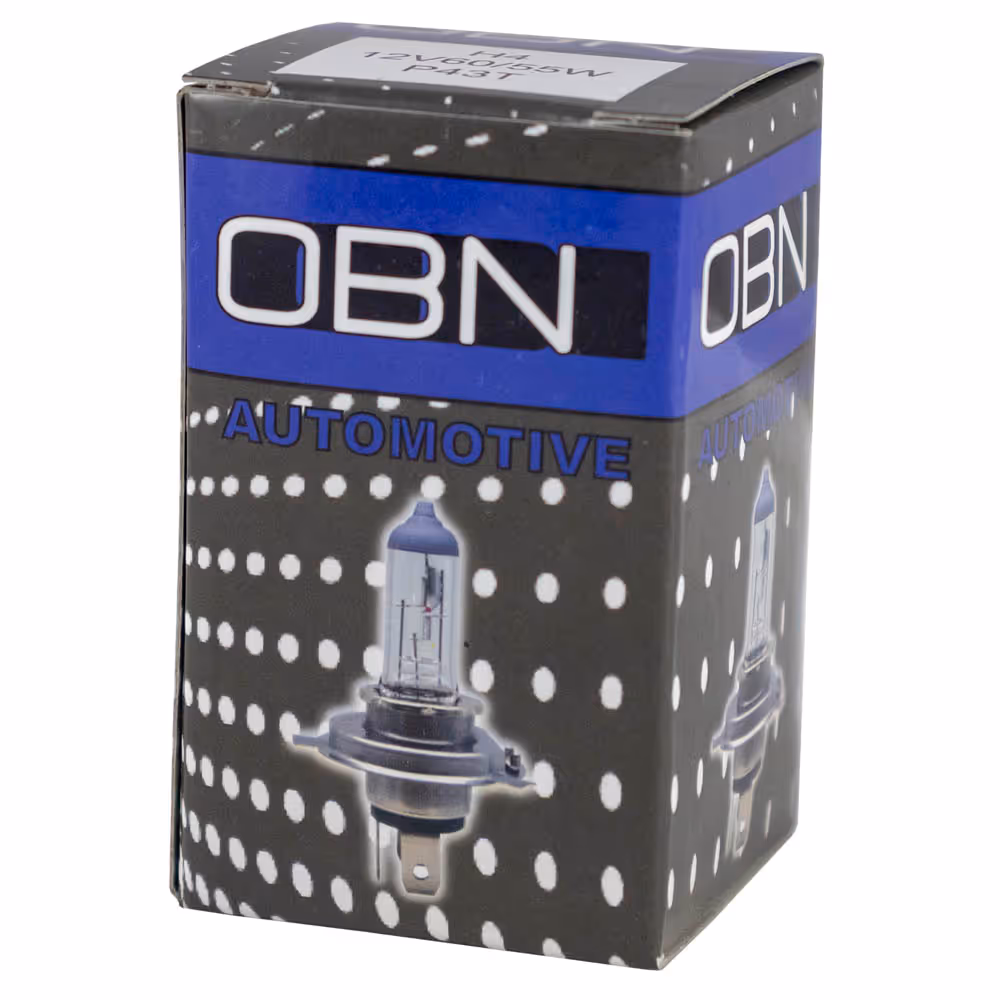 Ampoule h4 12v 60/55w
