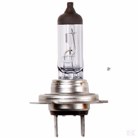 AMPOULE HALOGENE 12V55WH7 x10 12V 55W H7