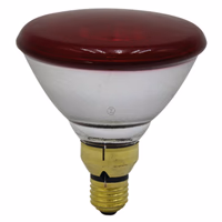 Ampoule chauffante - infrarouge - 175 W - Universel