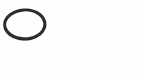 Joint torique Arag 28x2,62mm 322000050 Origine