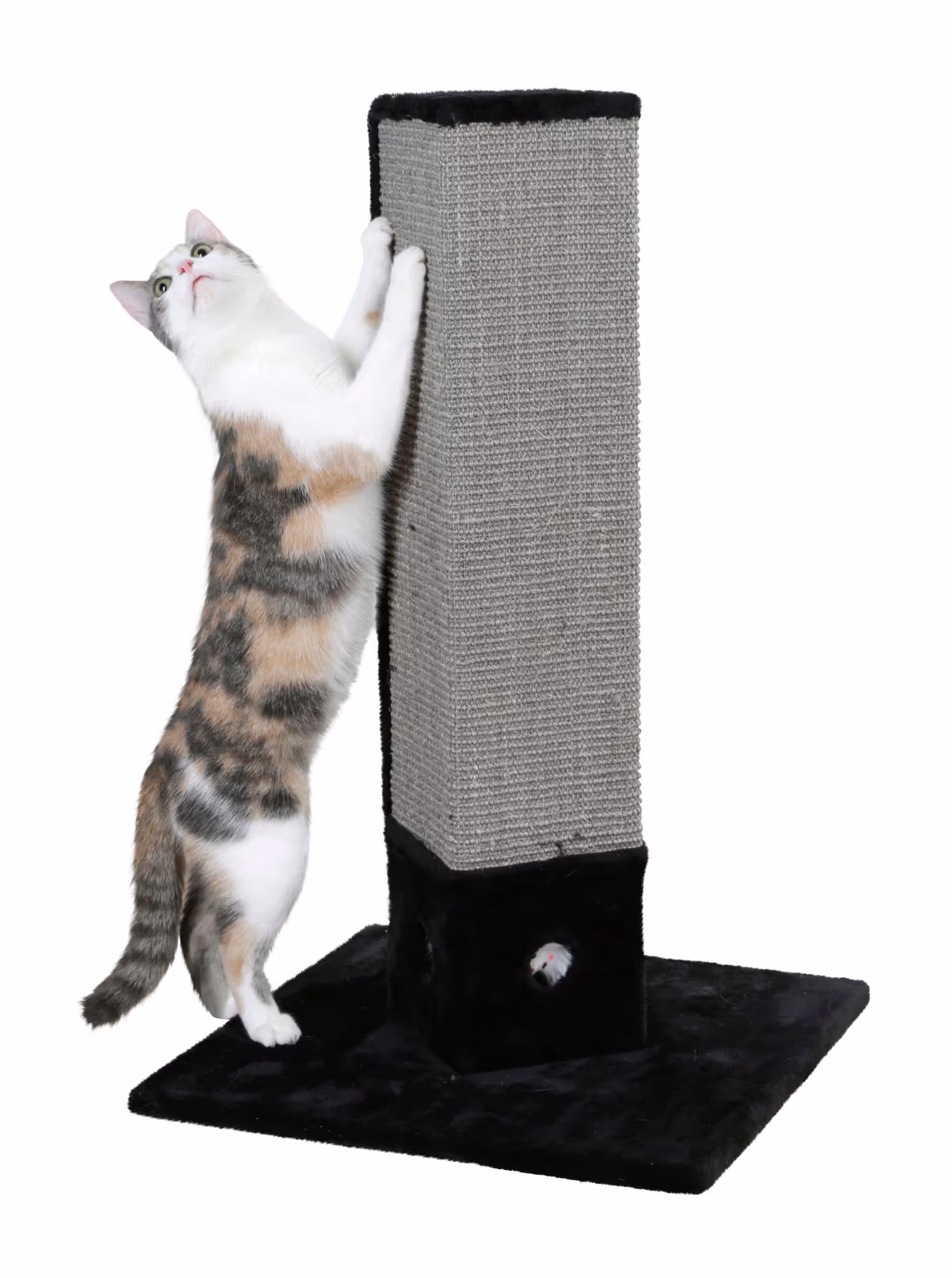 Arbre à chat 4-Corner noir, 80cm