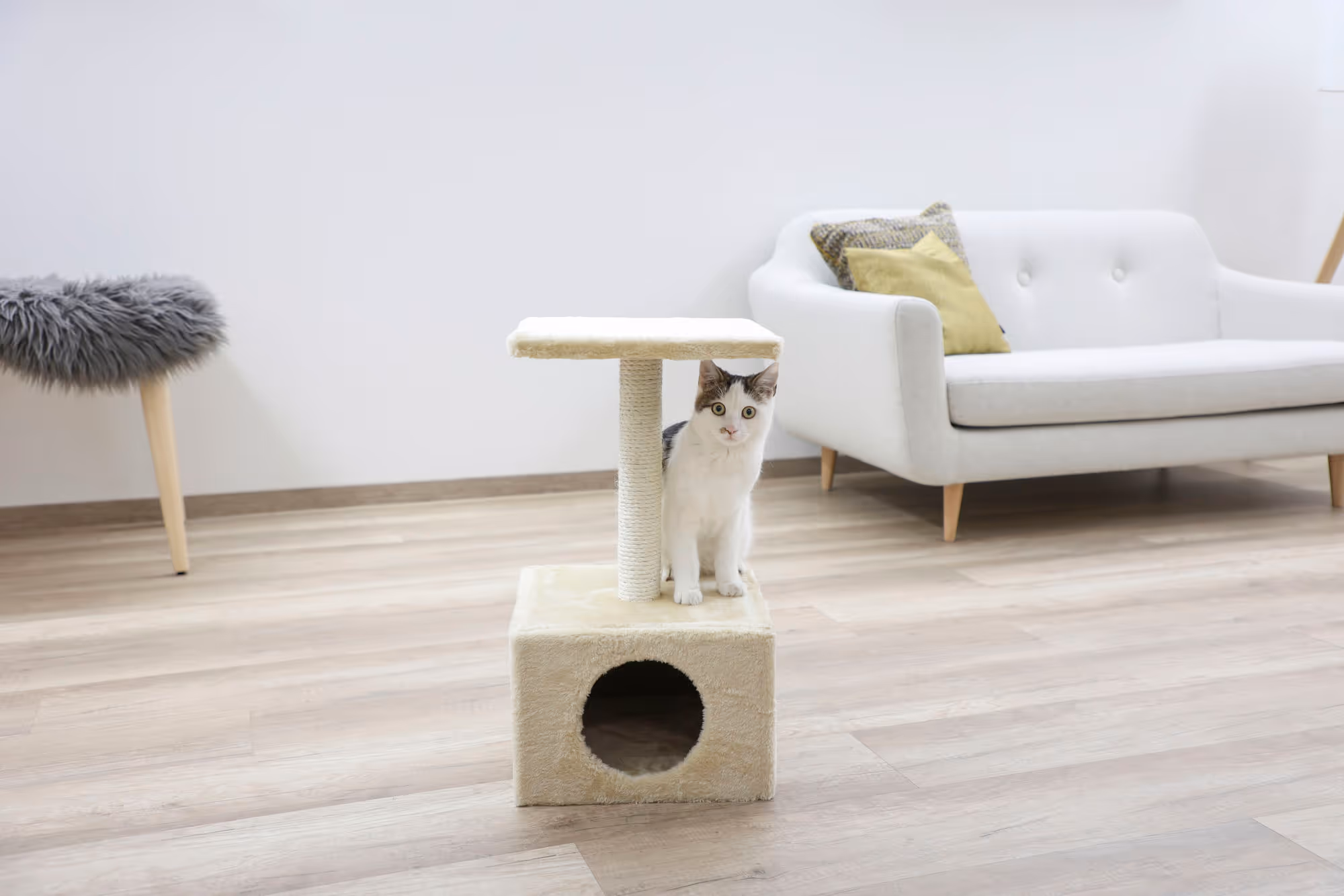 Arbre à chat Amethyst beige, 57cm