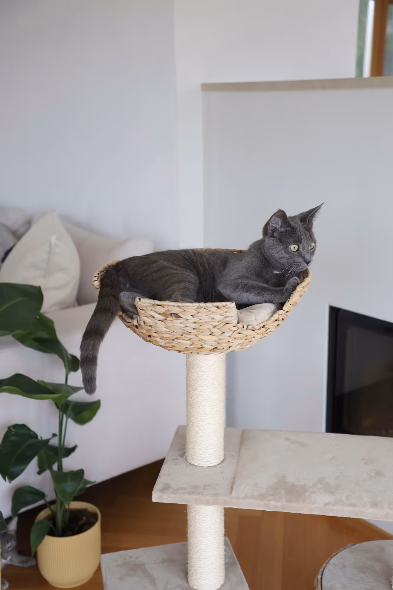Arbre à chat Banana Leaf Jade beige, 100cm