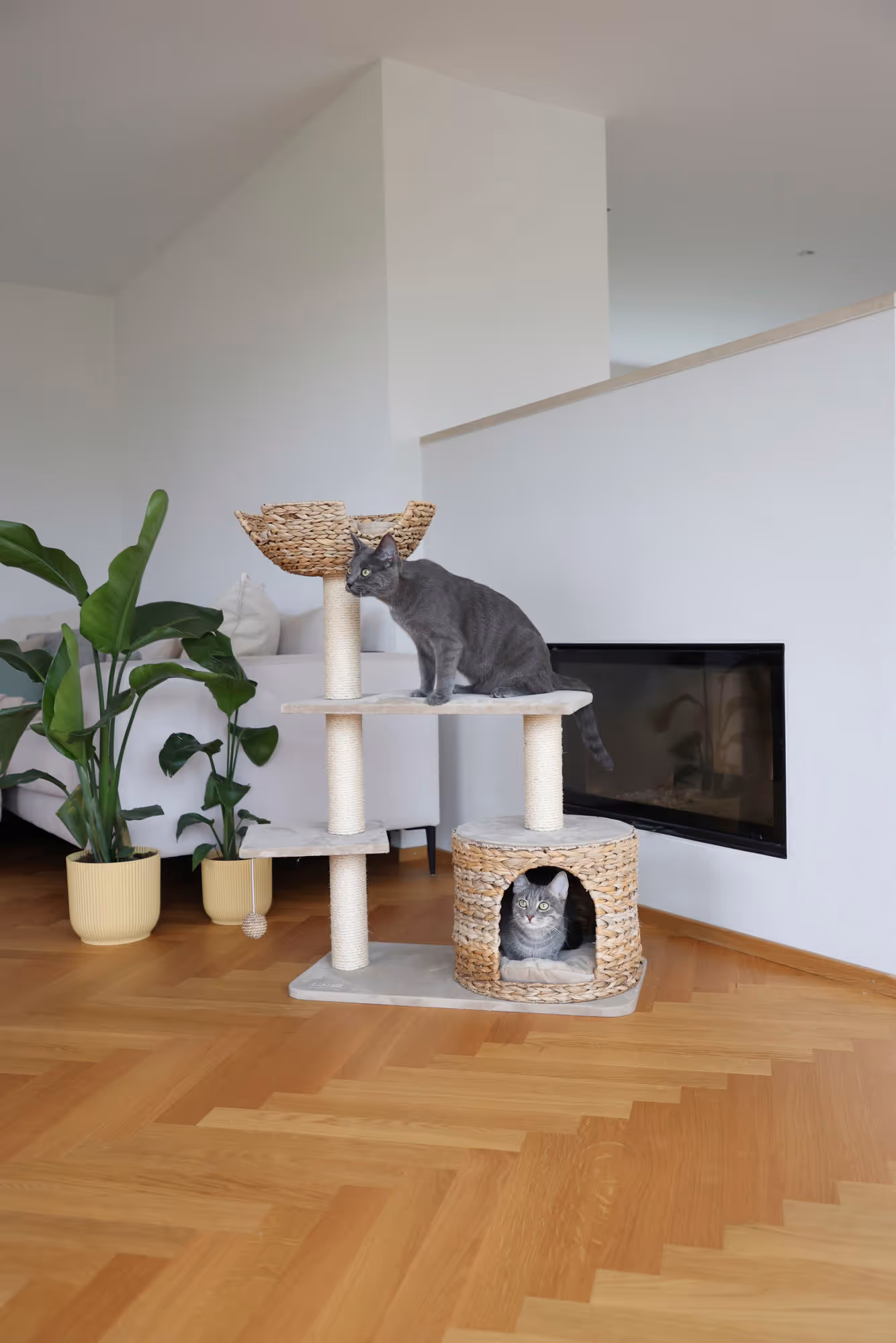 Arbre à chat Banana Leaf Jade beige, 100cm