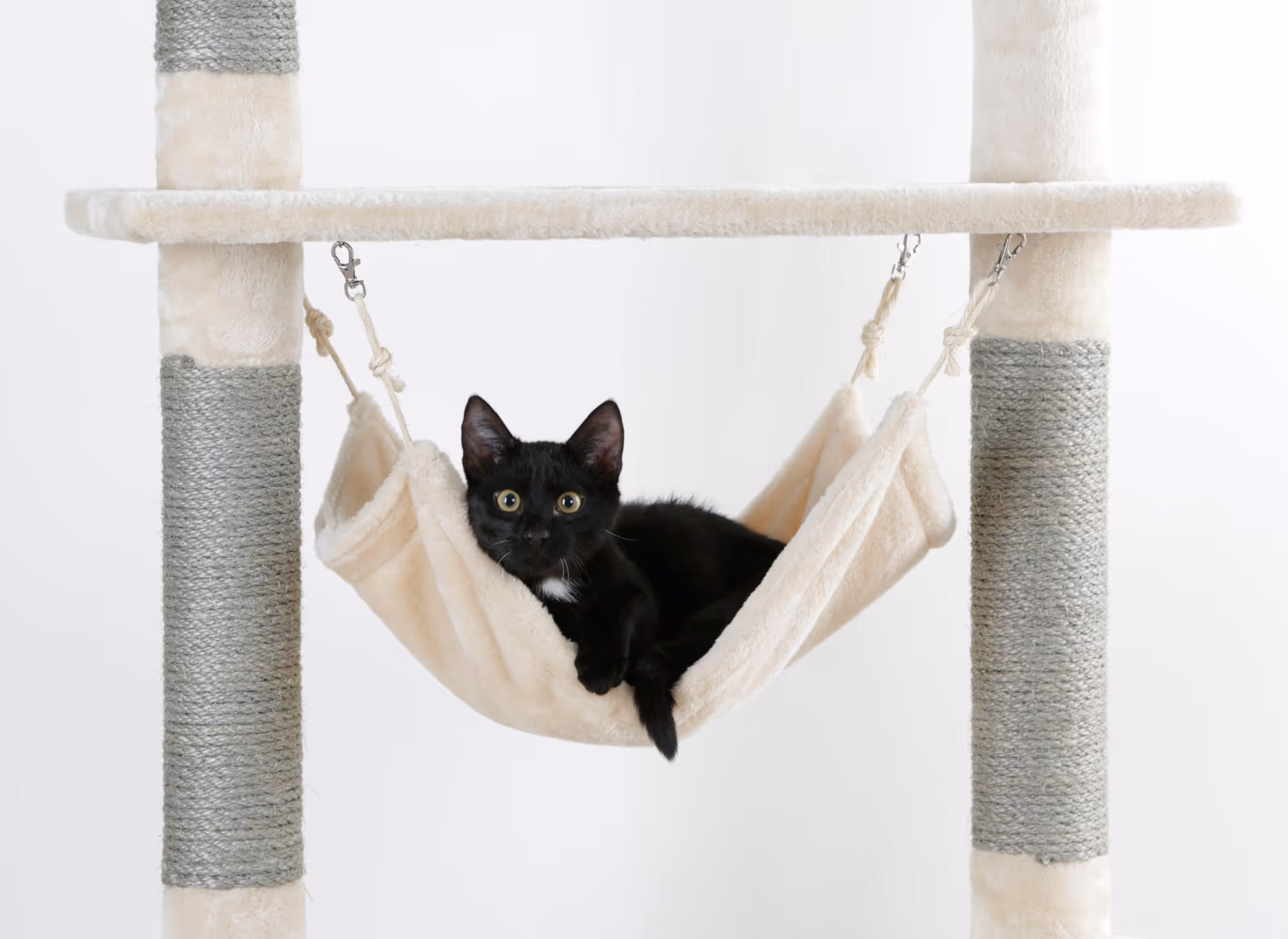Arbre à chat Creativ Adventure beige/gris clair, 150cm