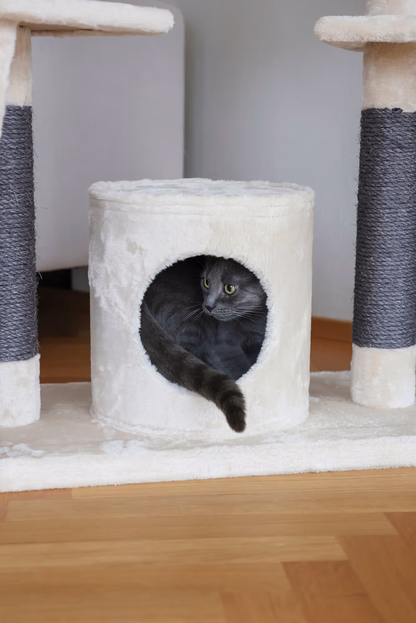 Arbre à chat Creativ Adventure beige/gris clair, 150cm