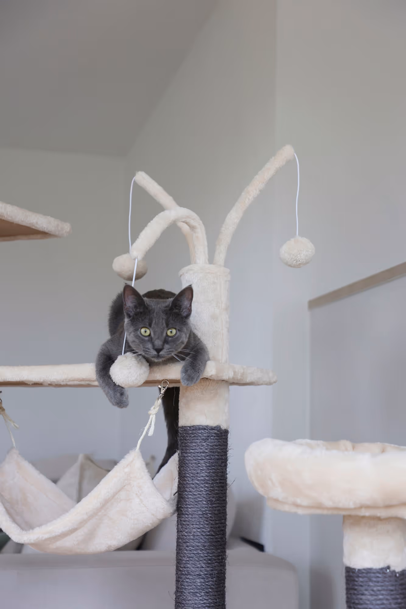 Arbre à chat Creativ Adventure beige/gris clair, 150cm