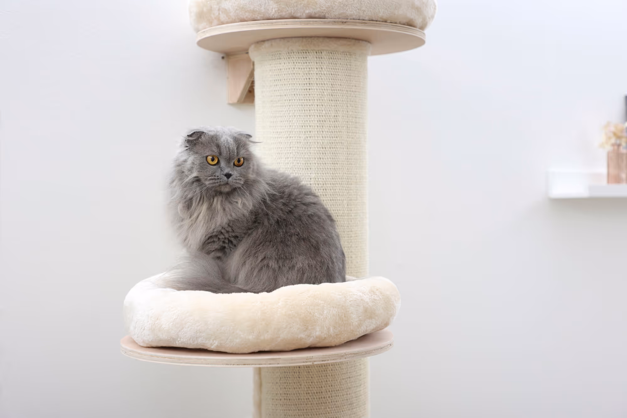 Arbre à chat Dolimit Tower beige, 187cm