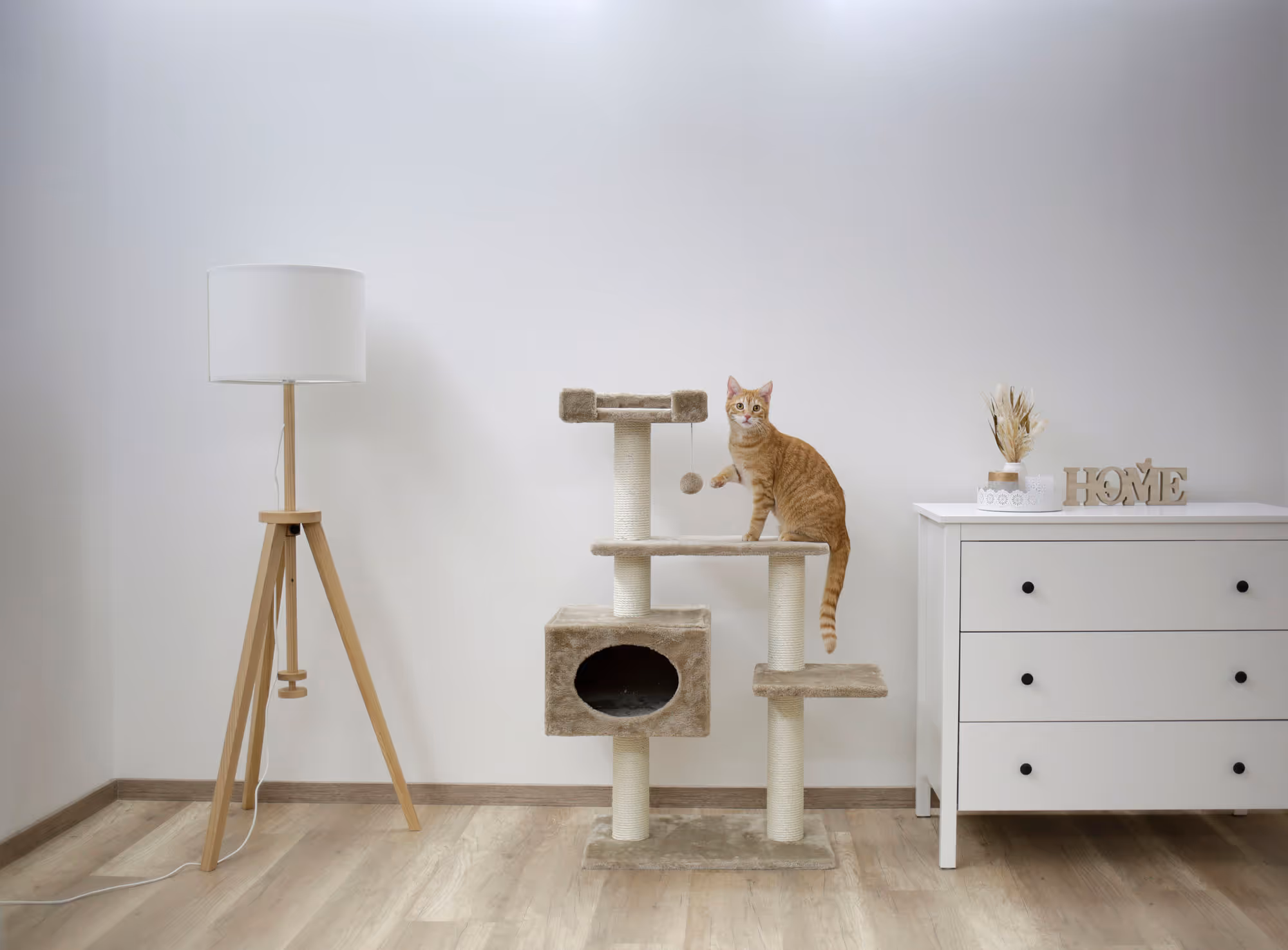 Arbre à chat Emmy beige, 133cm