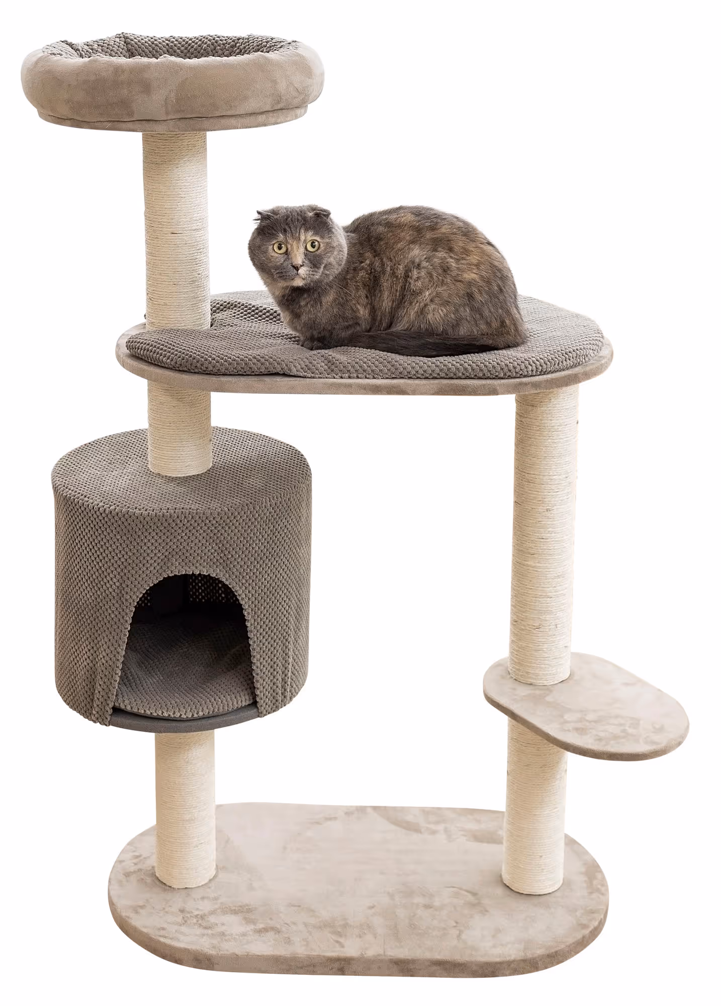 Arbre à chat Giselle taupe, 117cm