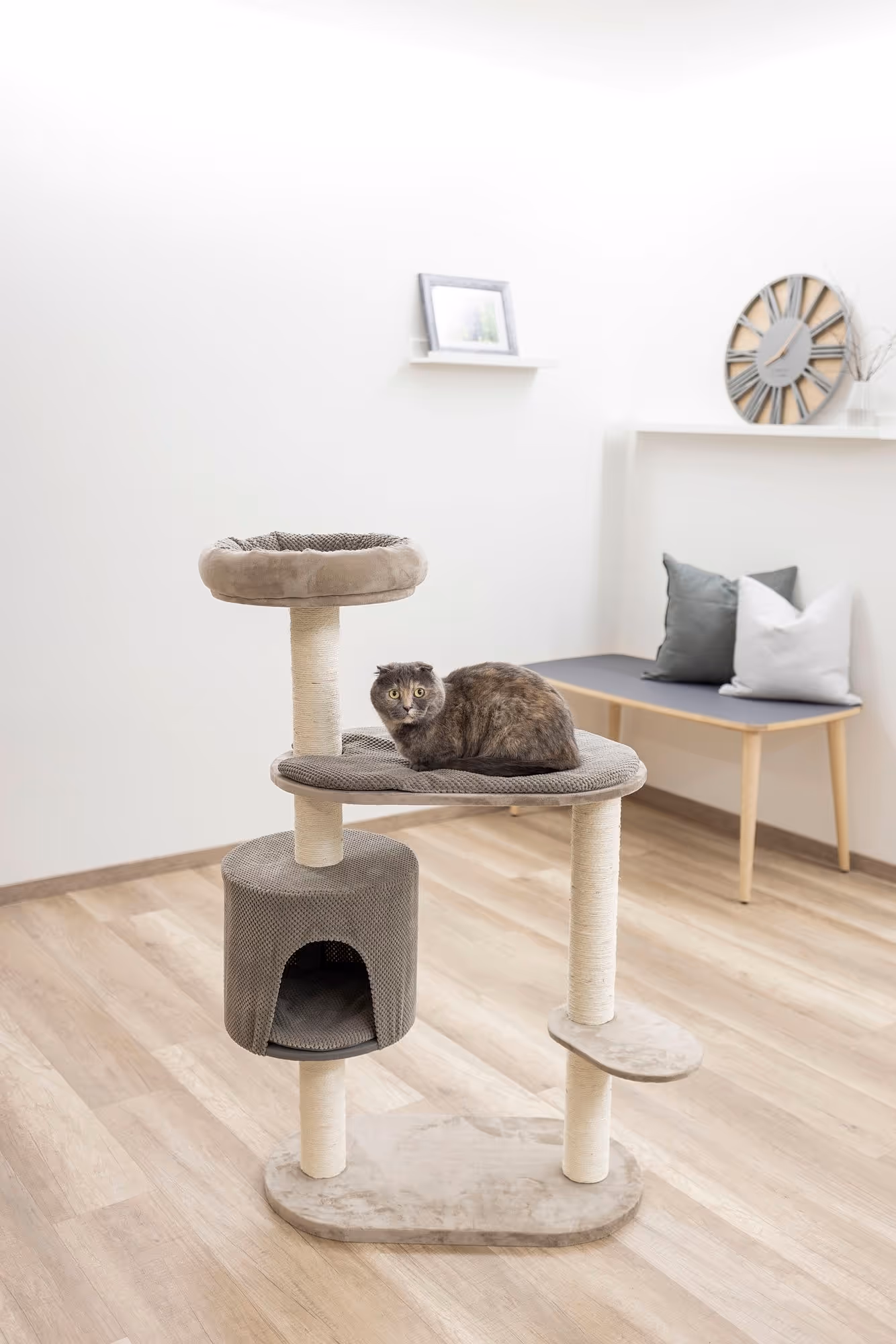 Arbre à chat Giselle taupe, 117cm