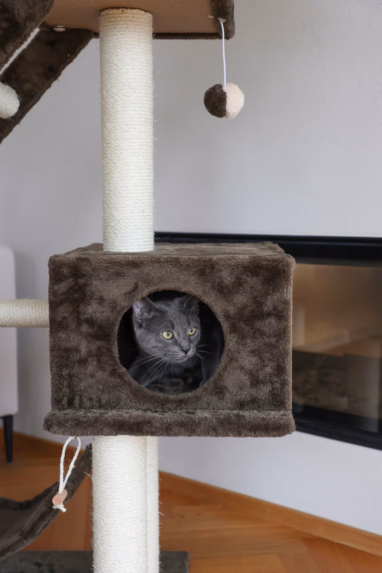 Arbre à chat Granat gris foncé, 150cm