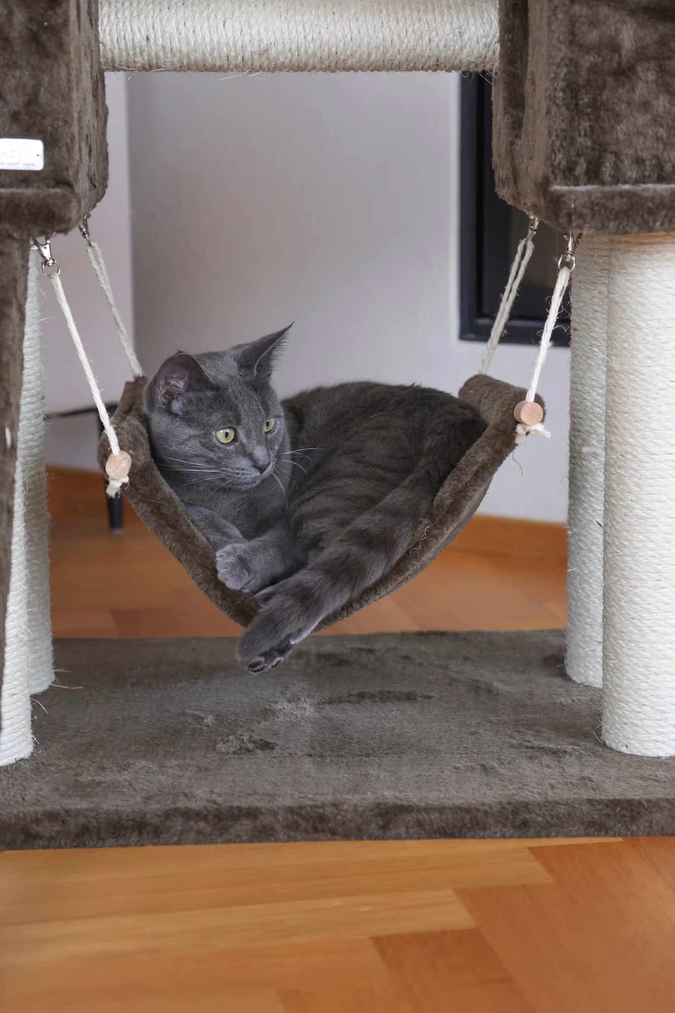Arbre à chat Granat gris foncé, 150cm