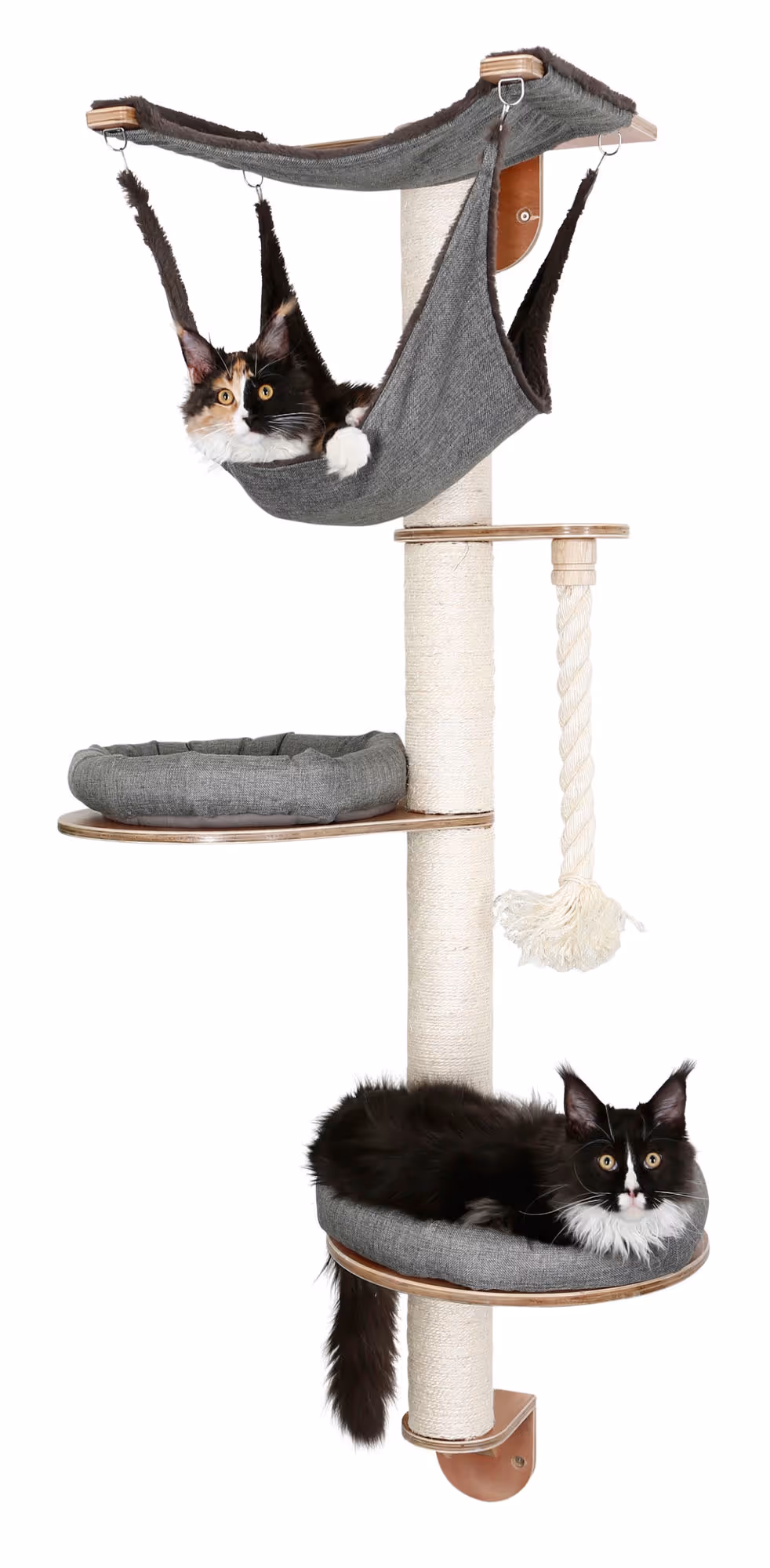 Arbre à chat mural Dolomit 2.0 Tofana, gris, 160cm