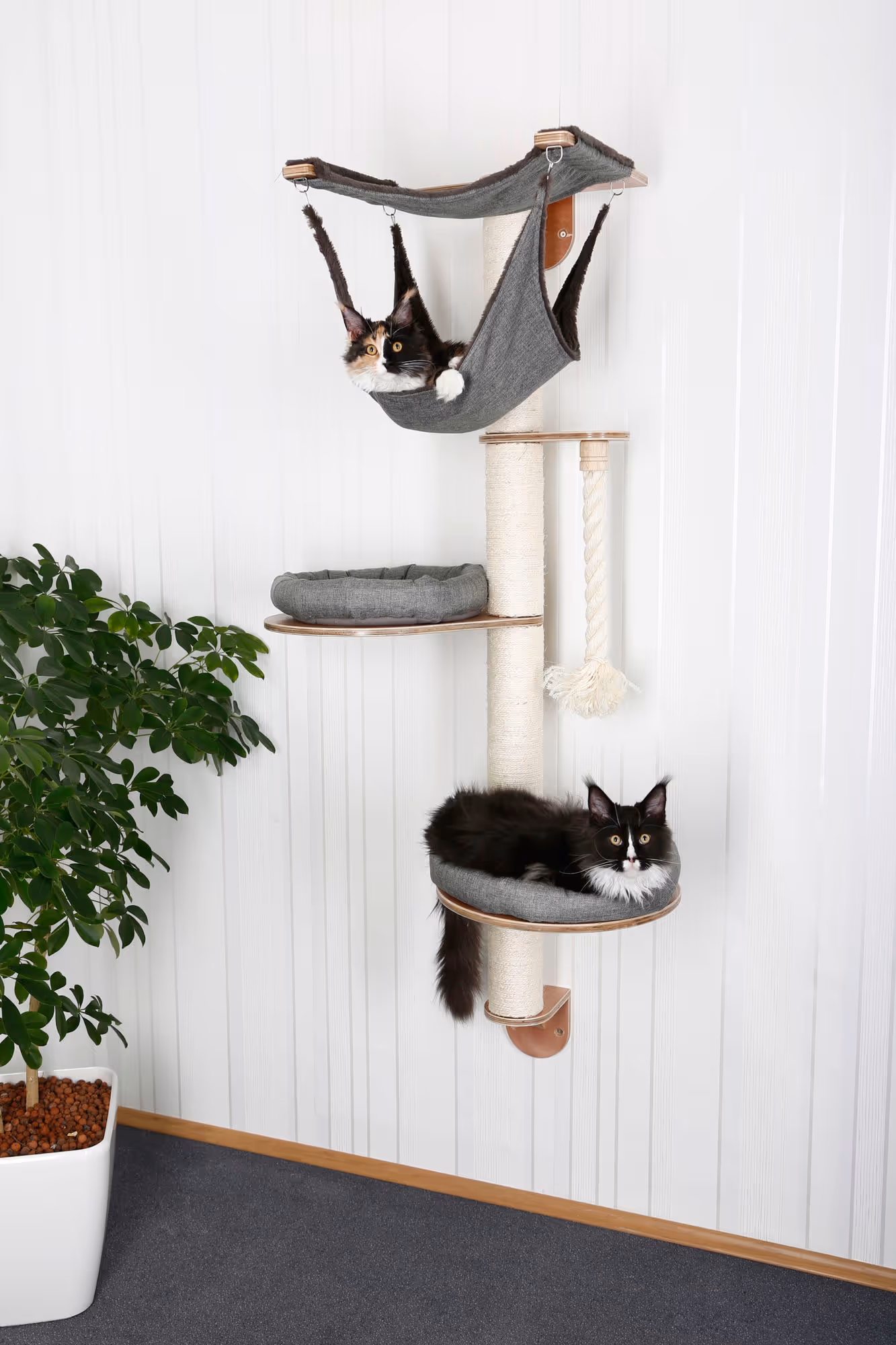 Arbre à chat mural Dolomit 2.0 Tofana, gris, 160cm
