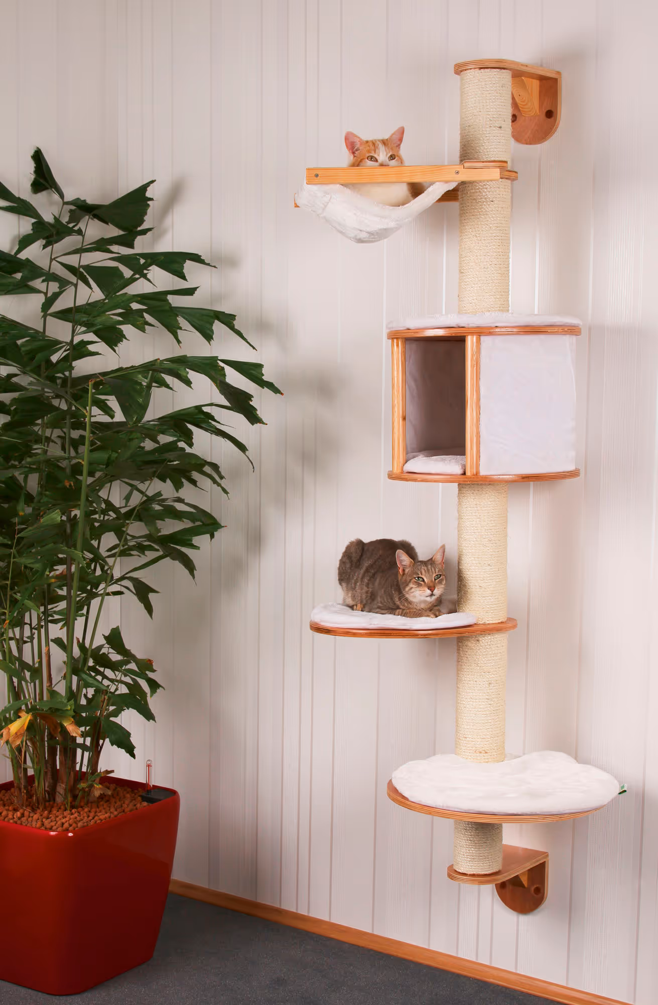 Arbre à chat mural Dolomit blanc, 168cm