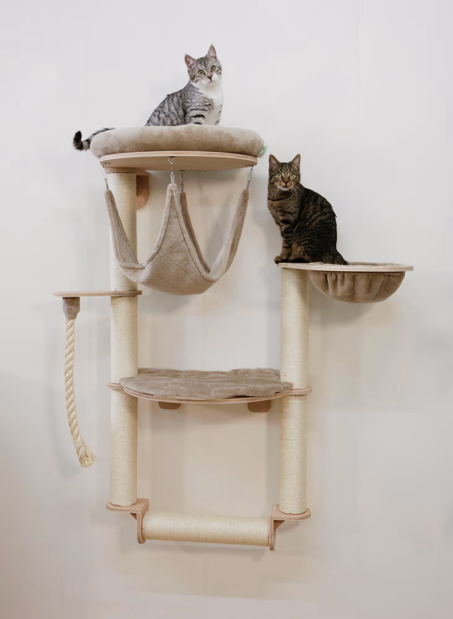 Arbre à chat mural Dolomit Grappa Pro, taupe, 138cm