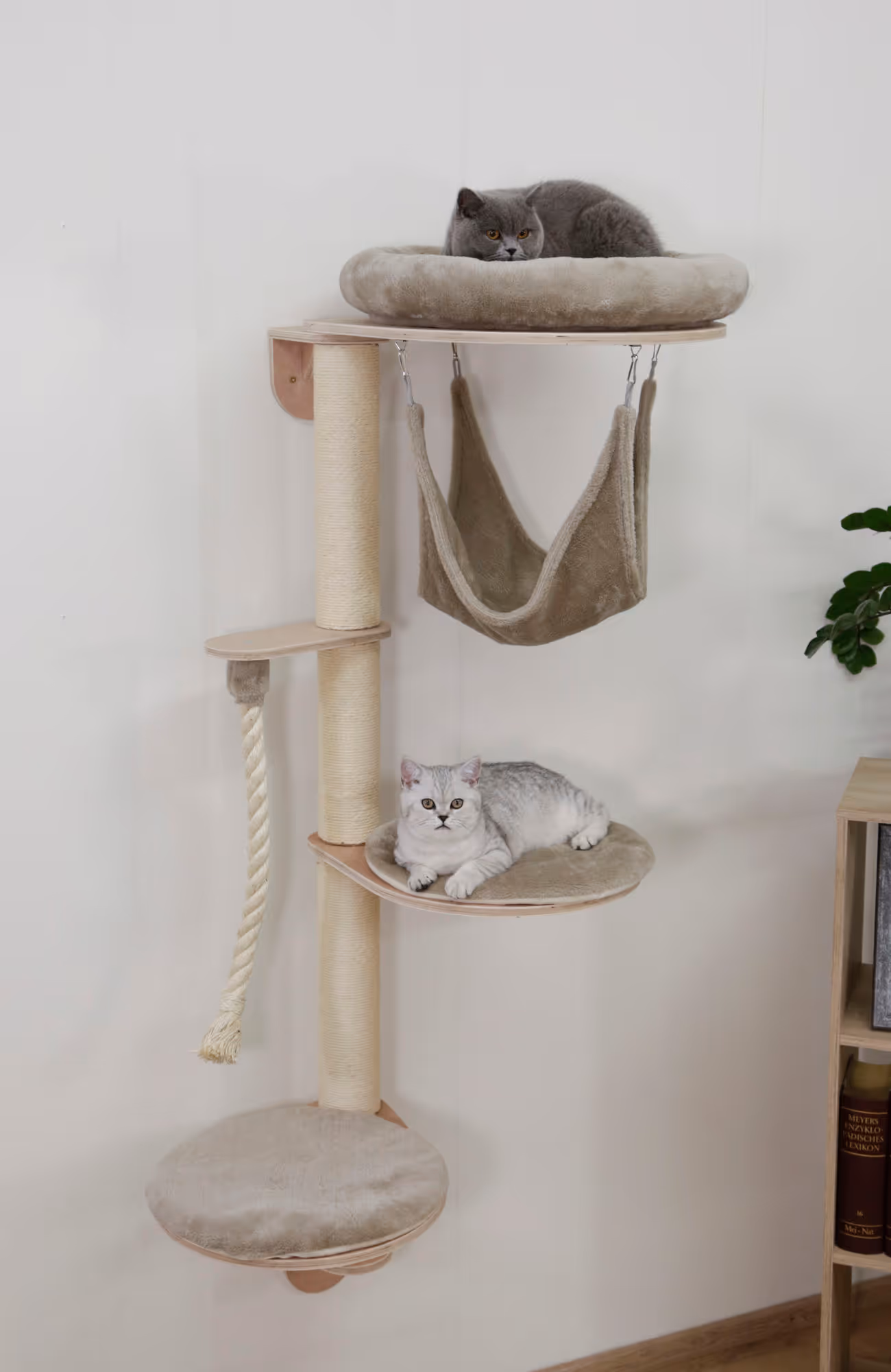 Arbre à chat mural Dolomit Grappa, taupe, 158cm