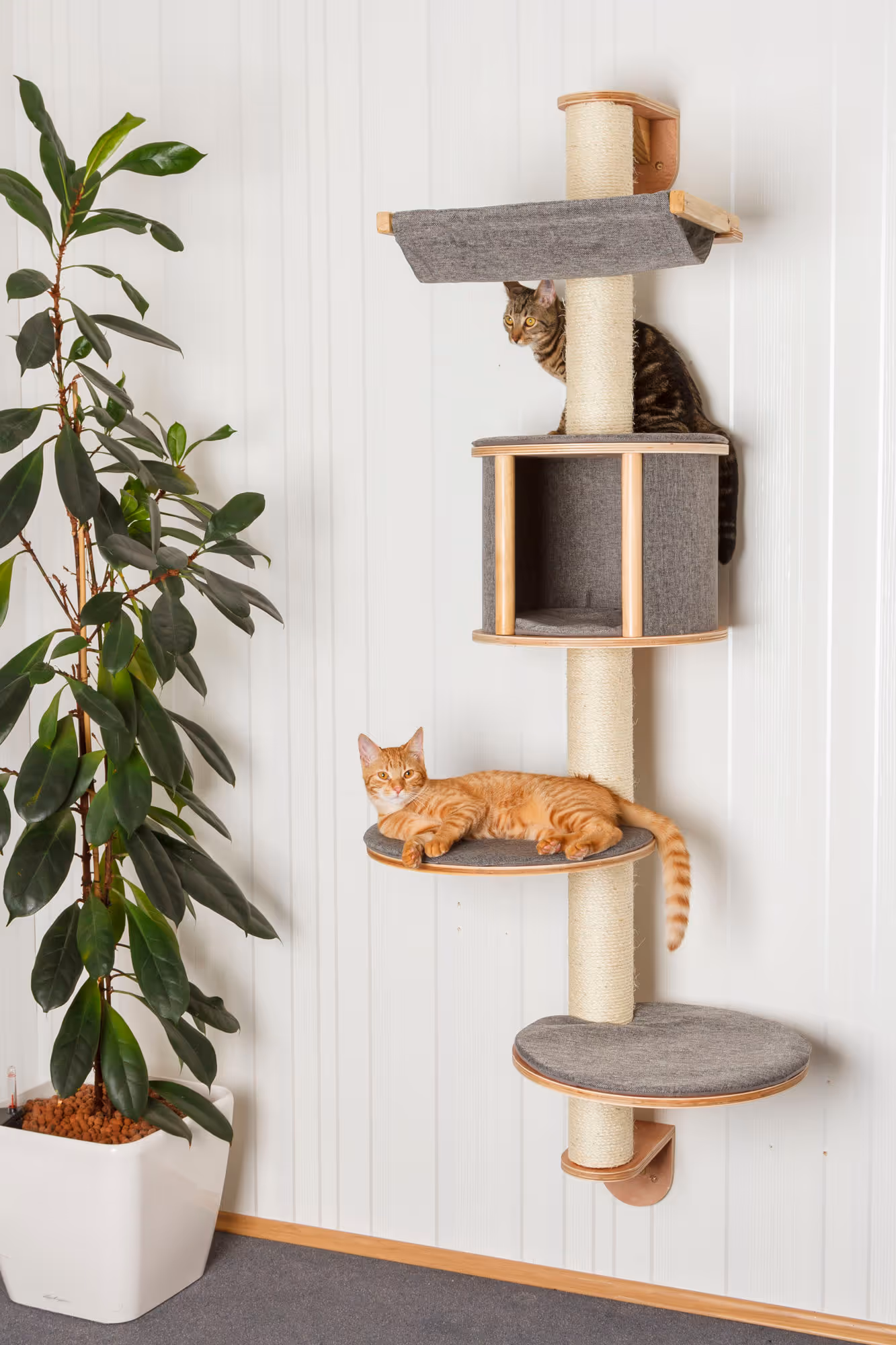 Arbre à chat mural Dolomit Tofana, 168cm, gris