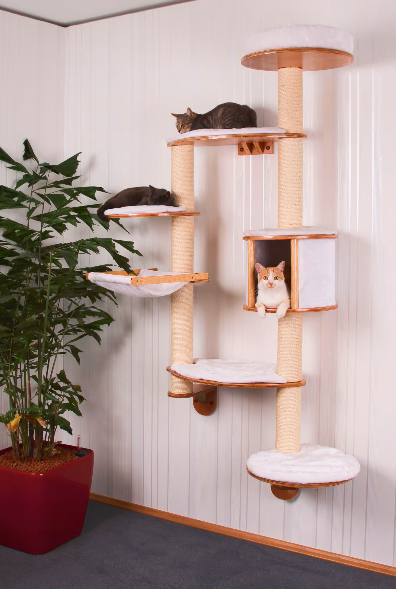 Arbre à chat mural Dolomit XL blanc, 185cm