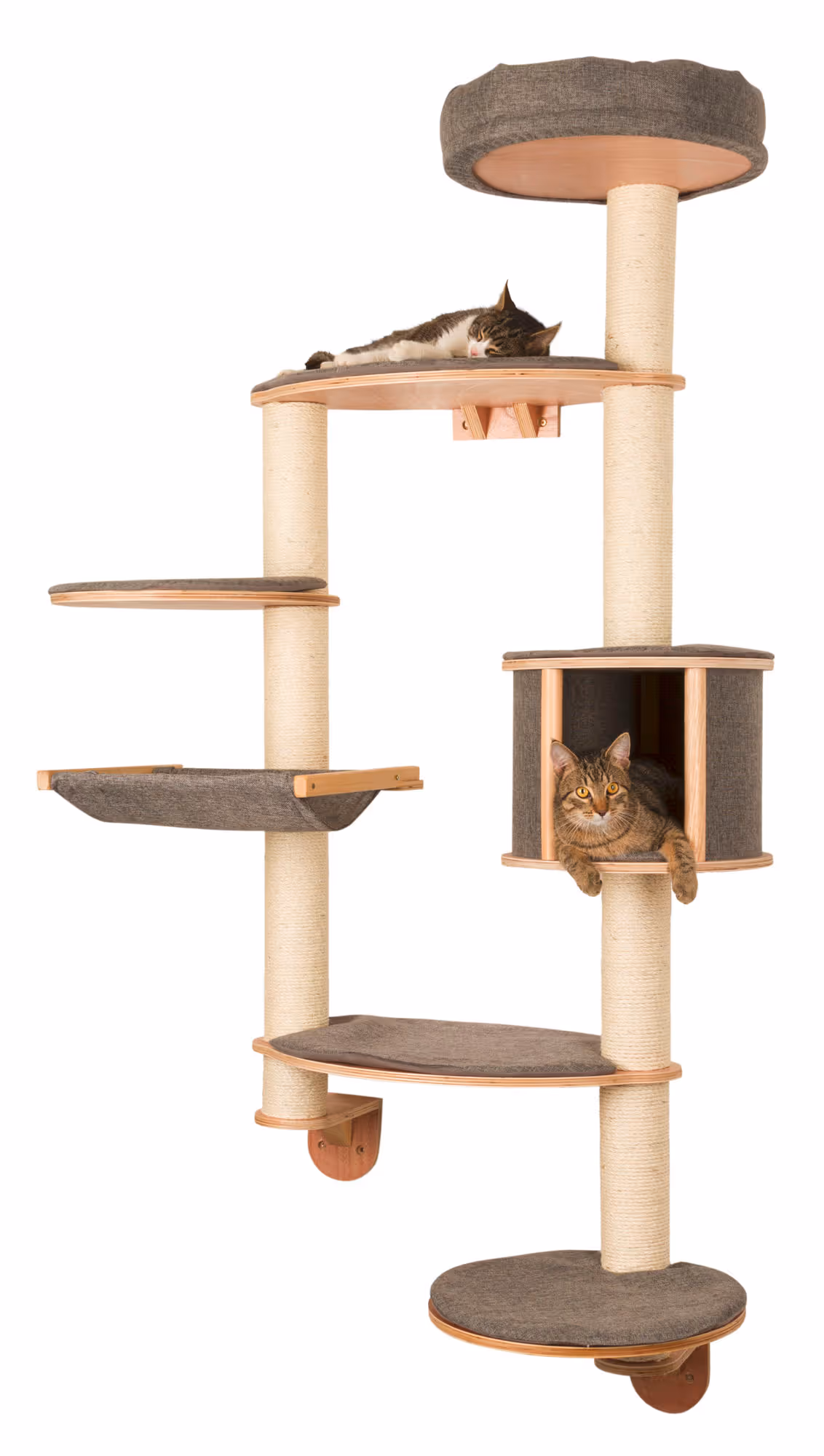 Arbre à chat mural Dolomit XL Tofana, 185cm, gris