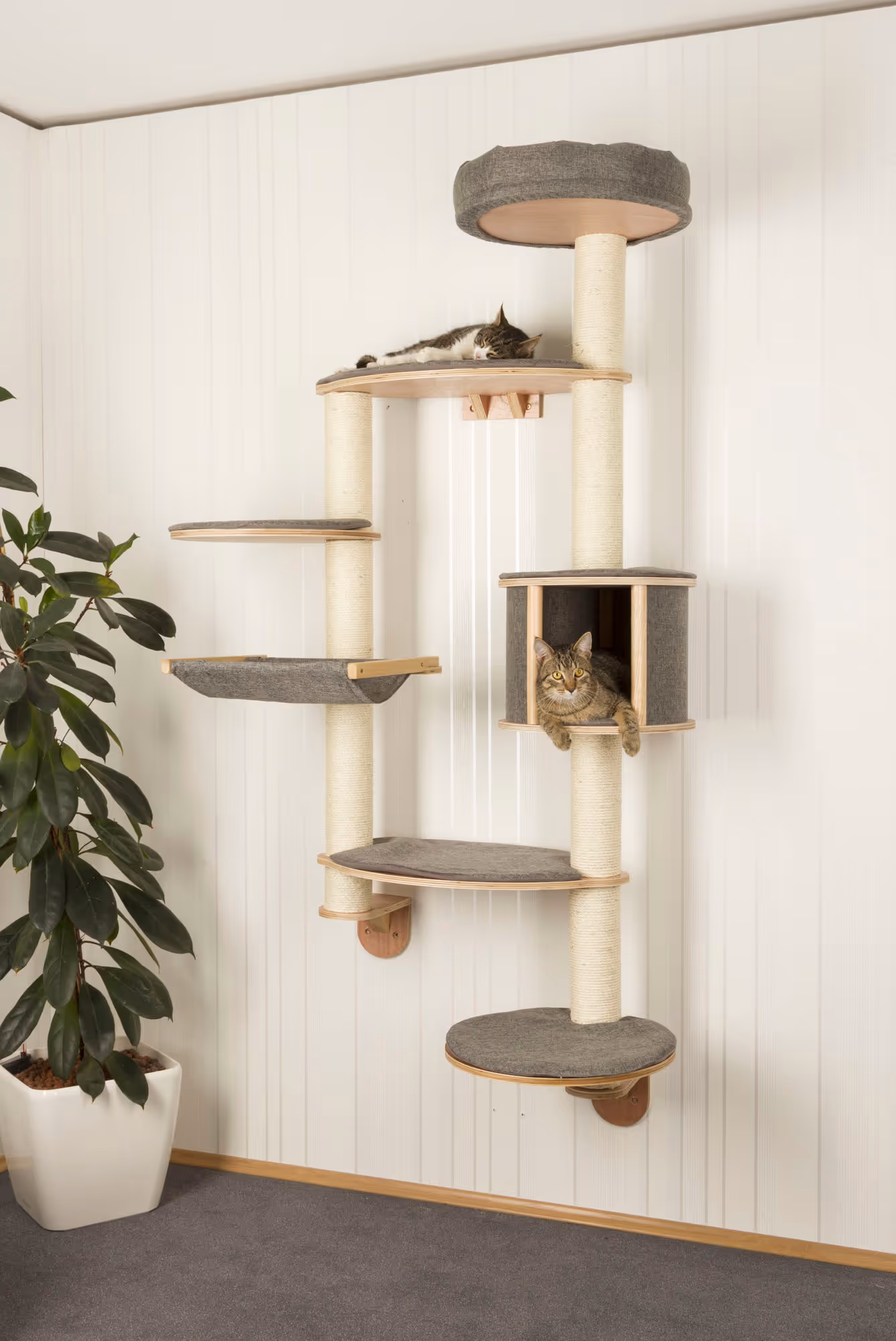 Arbre à chat mural Dolomit XL Tofana, 185cm, gris