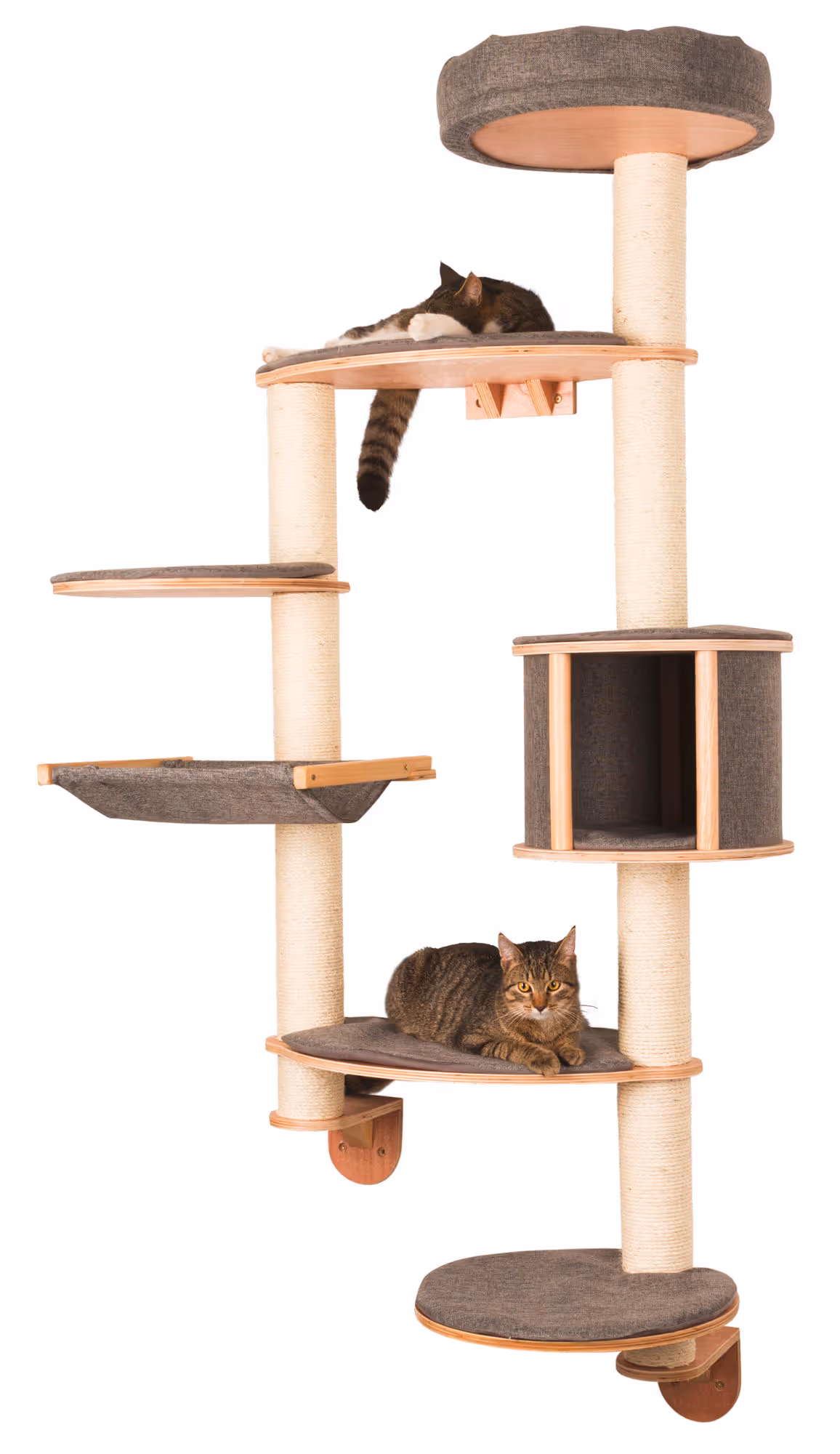 Arbre à chat mural Dolomit XL Tofana, 185cm, gris