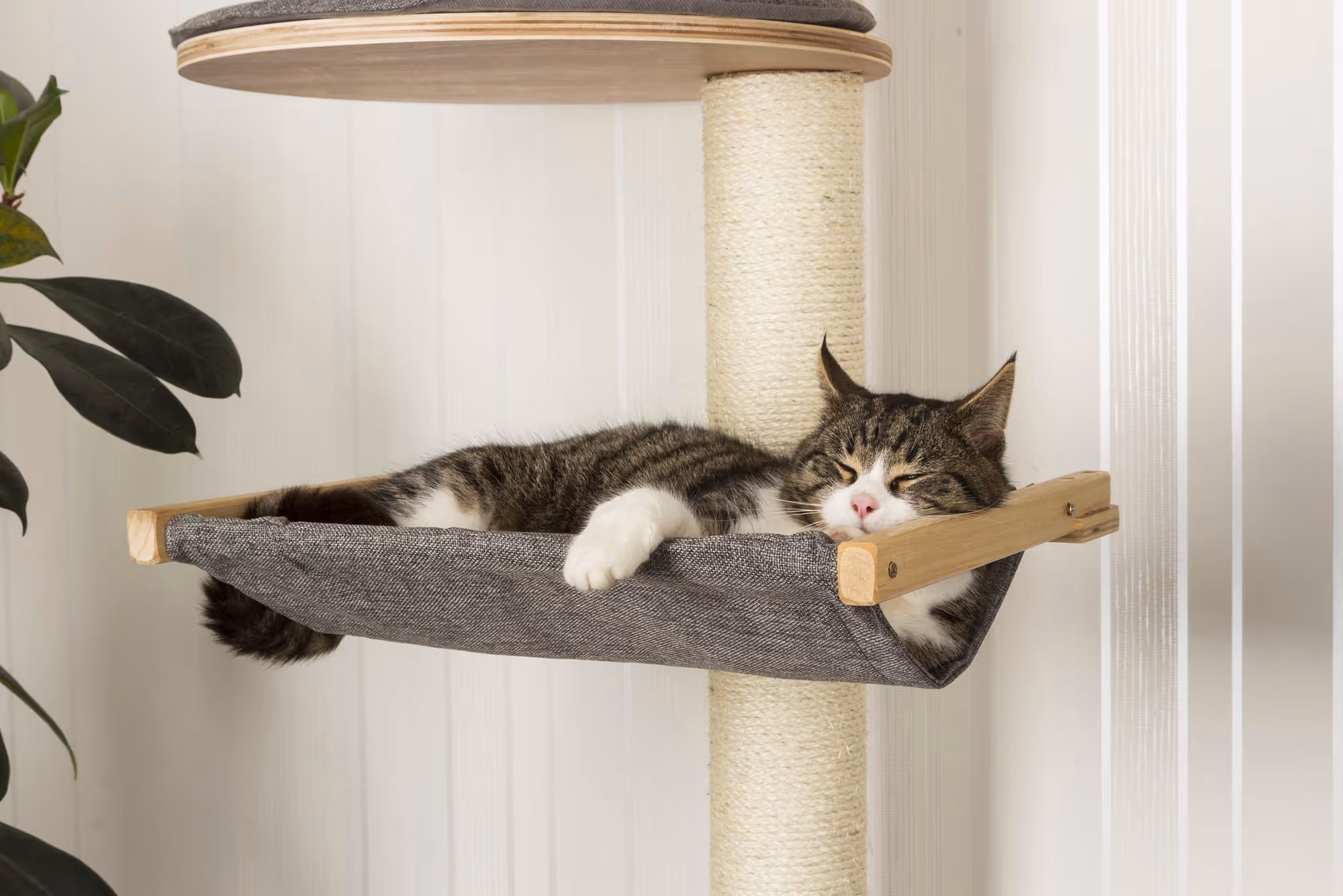 Arbre à chat mural Dolomit XL Tofana, 185cm, gris
