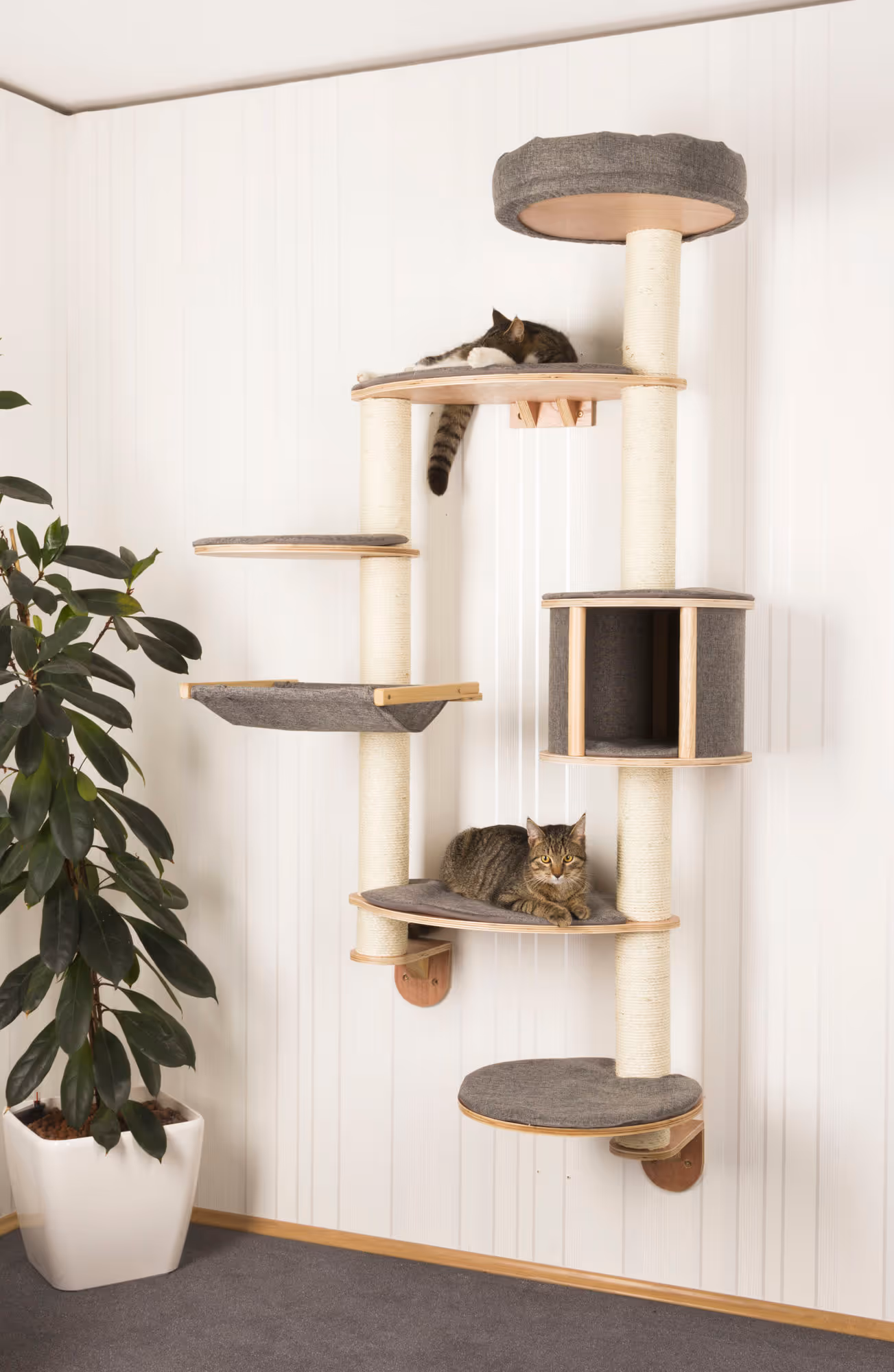 Arbre à chat mural Dolomit XL Tofana, 185cm, gris
