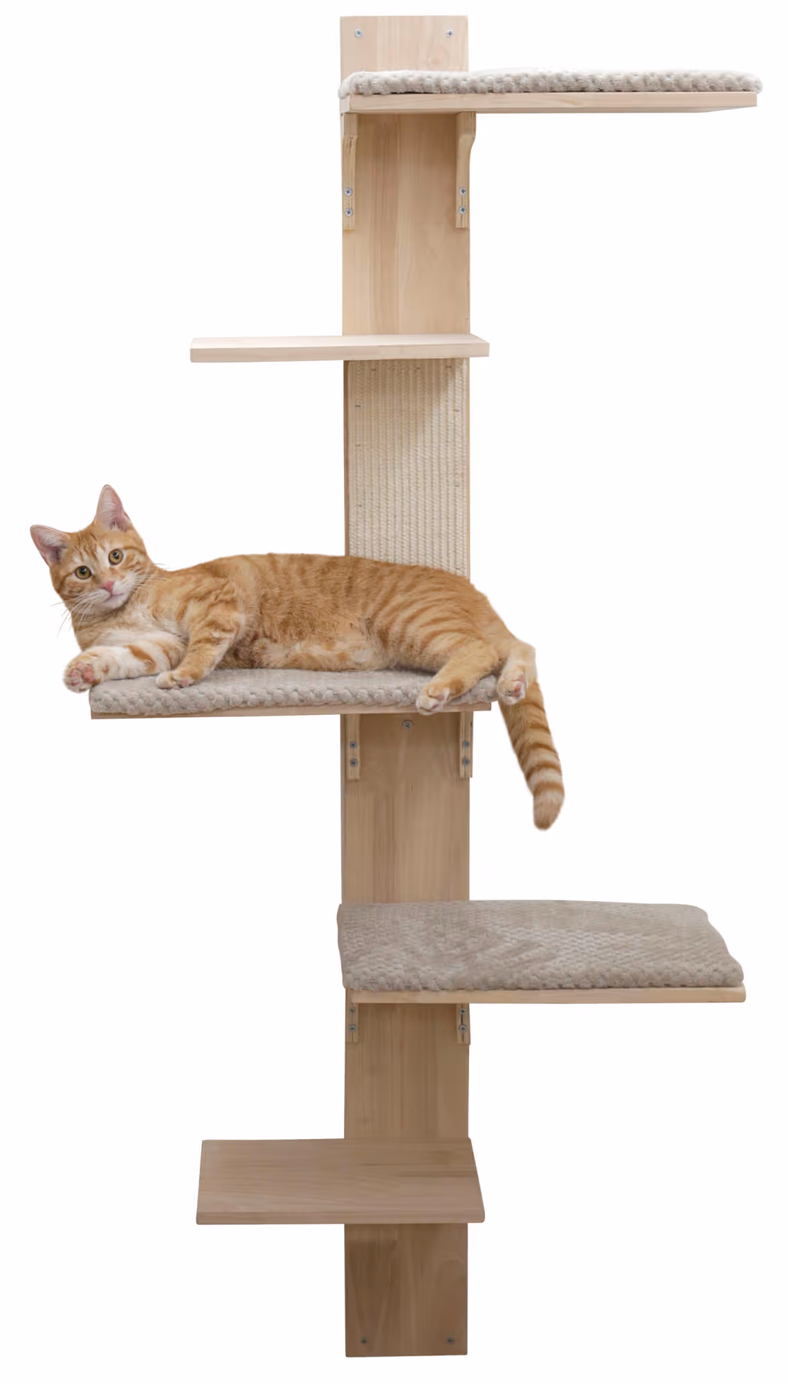 Arbre à chat mural Timber nature/taupe, 150cm
