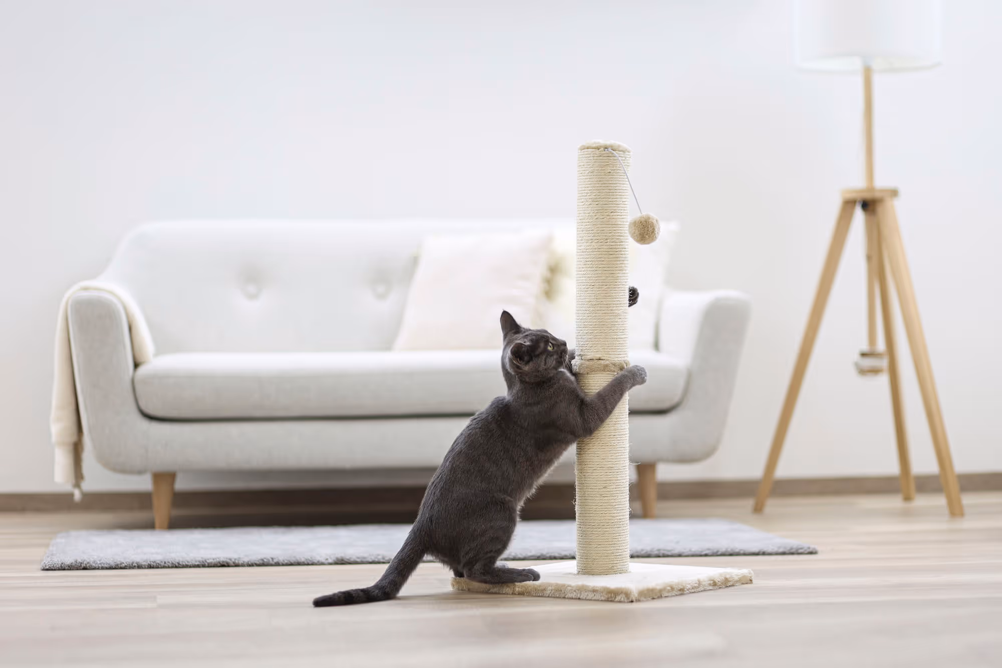 Arbre à chat Opal Maxi 78cm, gris