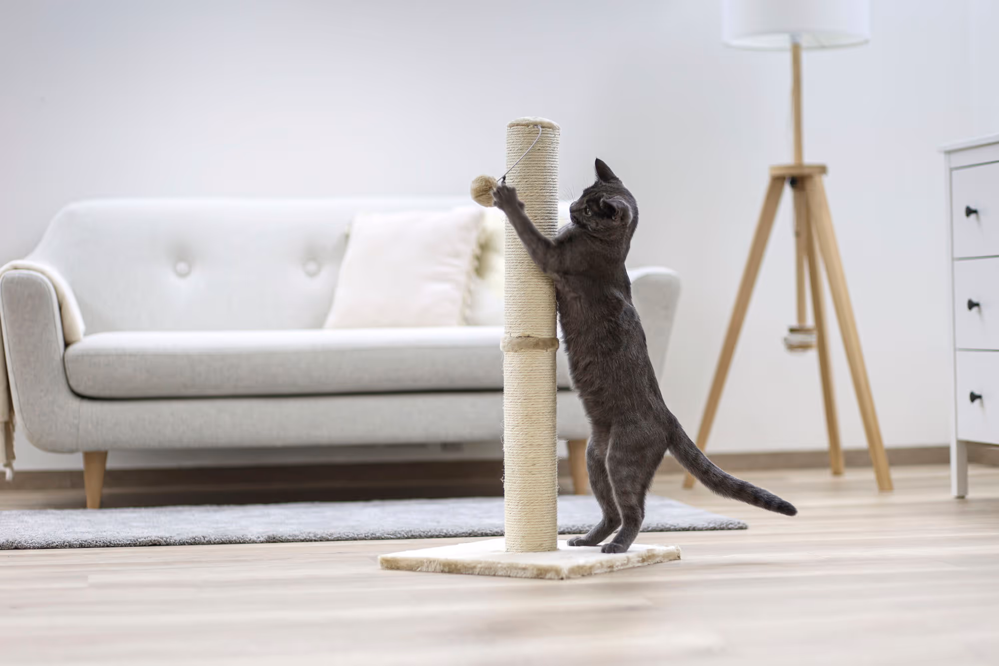 Arbre à chat Opal Maxi 78cm, gris