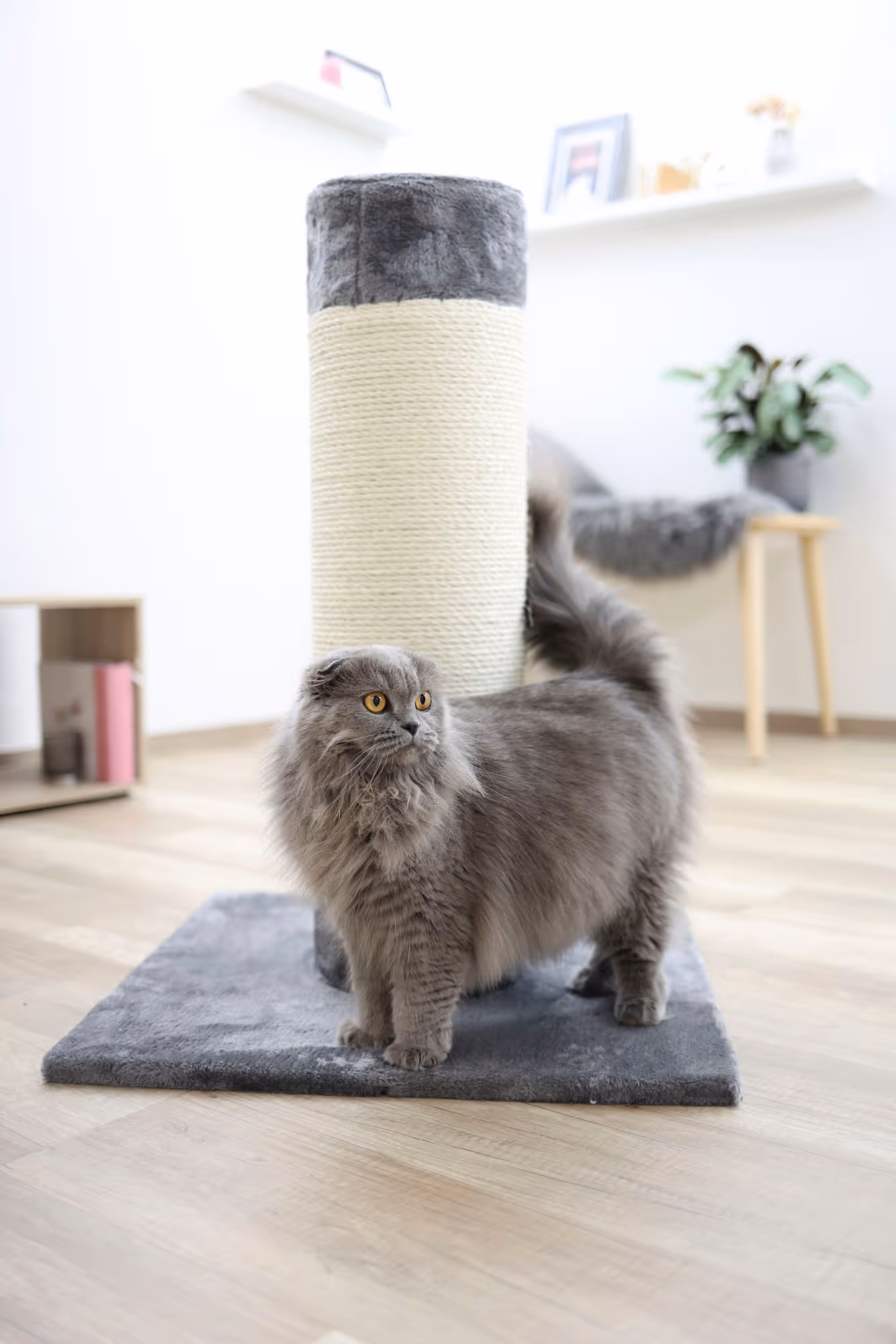 Arbre à chat Opal Ultra 82 x 60 x 60 cm, gris