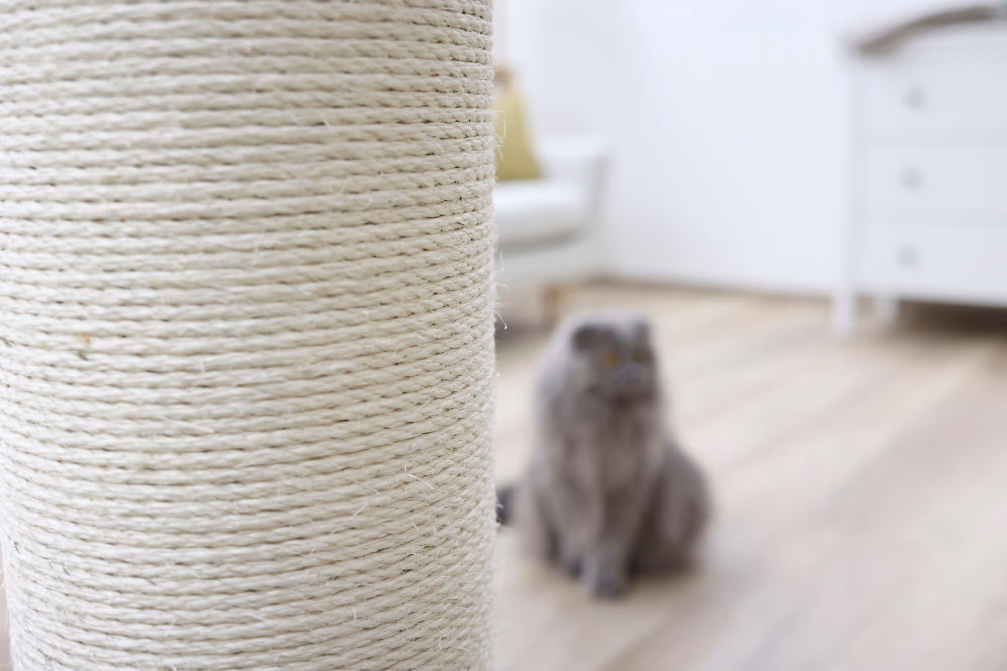 Arbre à chat Opal Ultra 82 x 60 x 60 cm, gris