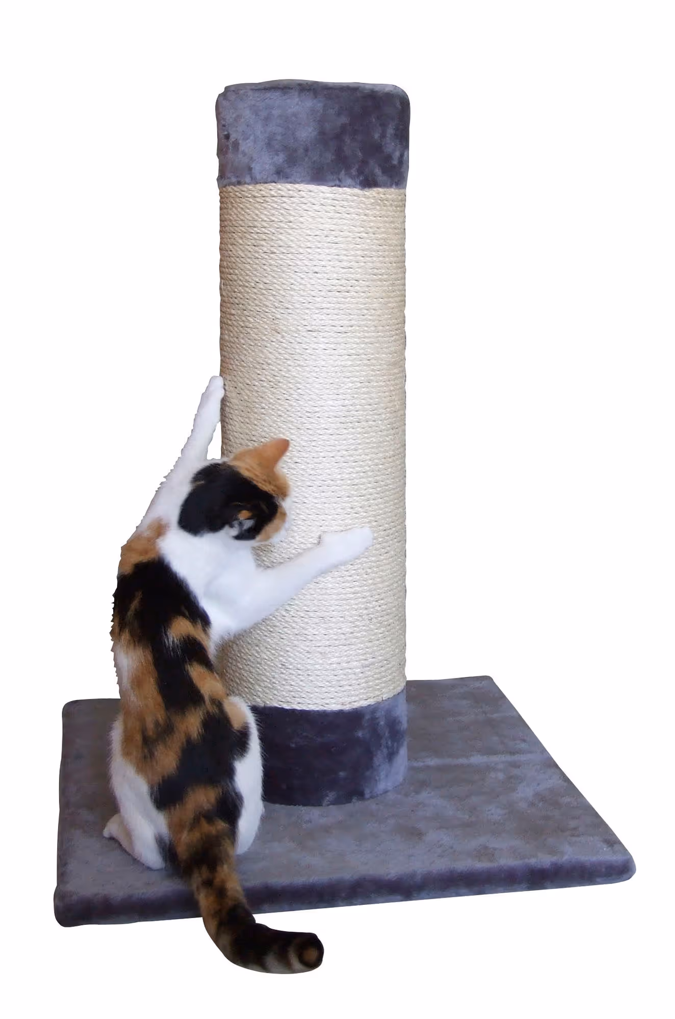 Arbre à chat Opal Ultra 82 x 60 x 60 cm, gris