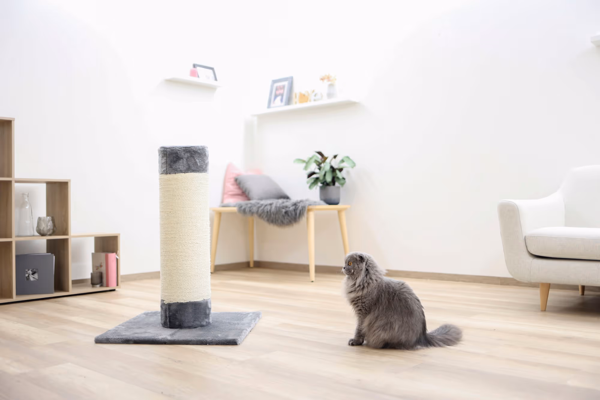 Arbre à chat Opal Ultra 82 x 60 x 60 cm, gris