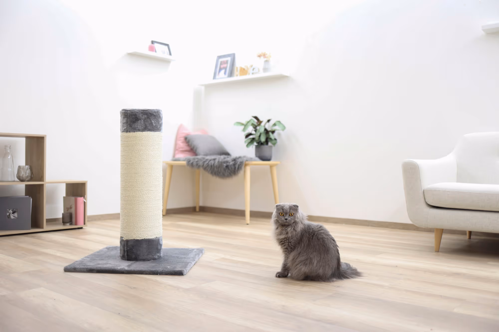 Arbre à chat Opal Ultra 82 x 60 x 60 cm, gris