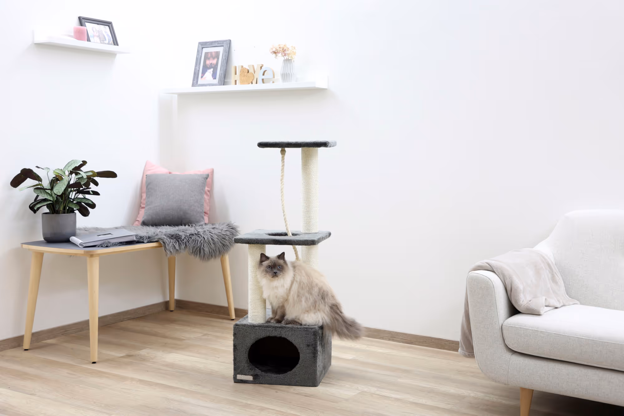 Arbre à chat Platin Pro anthracite, 106cm