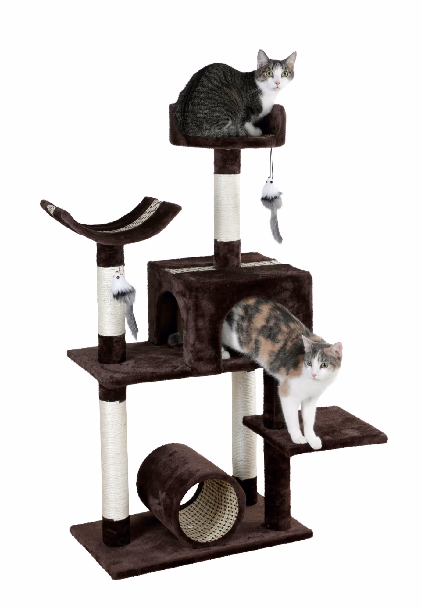 Arbre à chat Safari Big brun foncé, 122cm