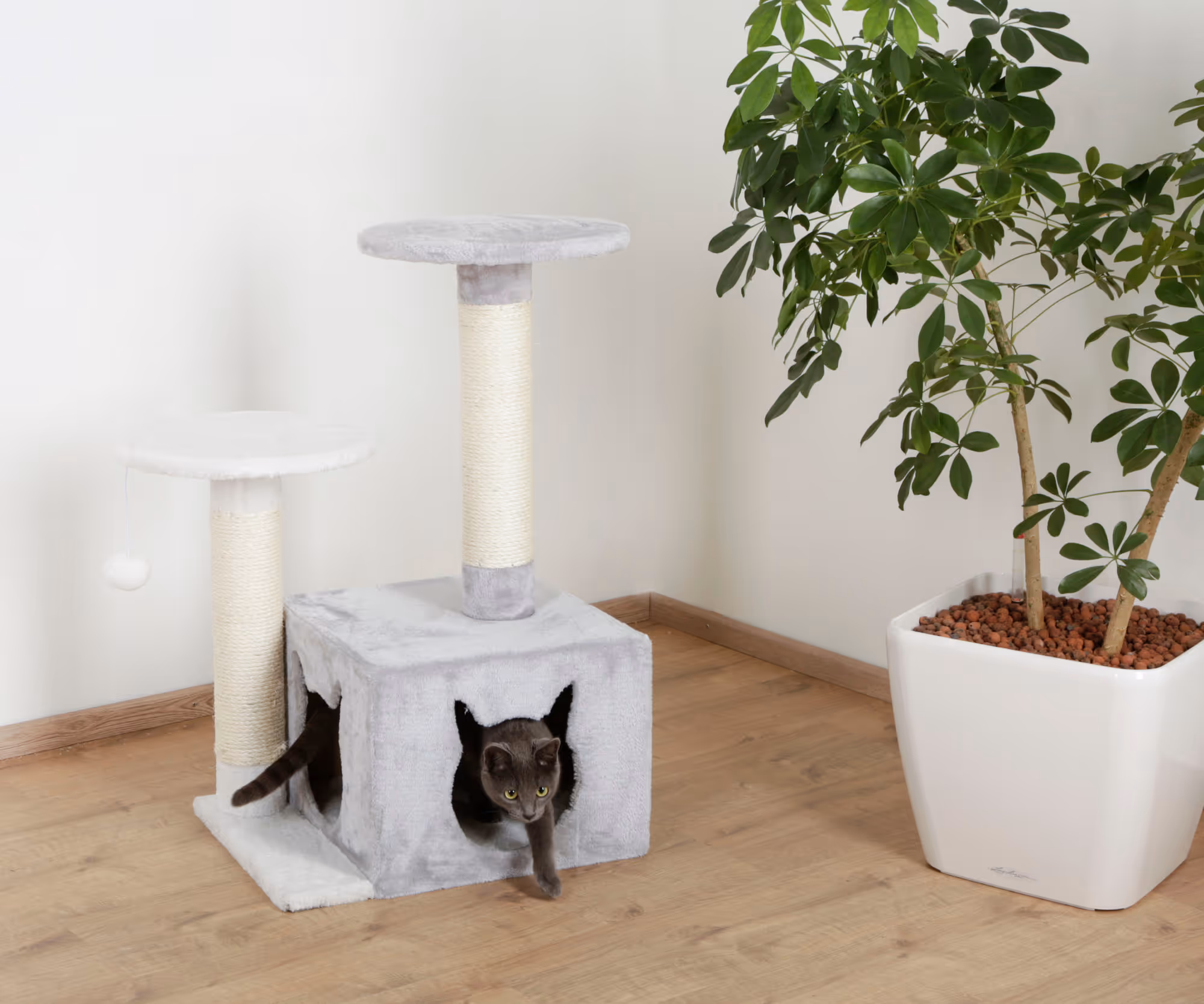 Arbre à chat Saphir light blanc/gris, 80cm