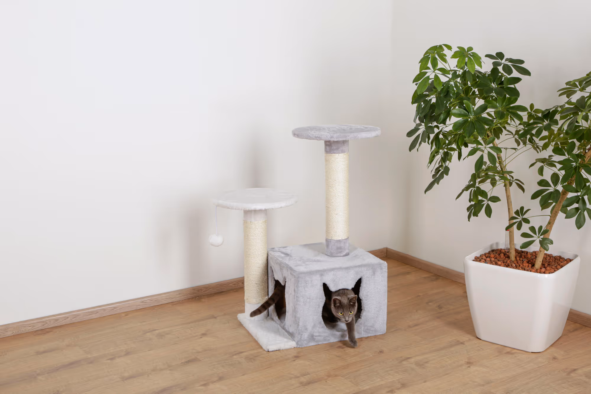 Arbre à chat Saphir light blanc/gris, 80cm