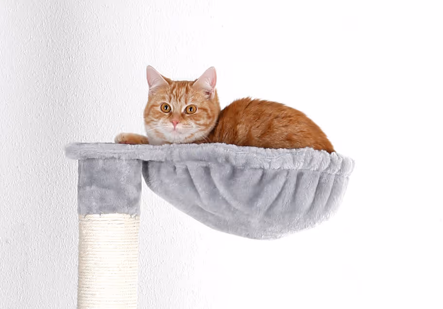 Arbre à chat Square gris clair, 178cm