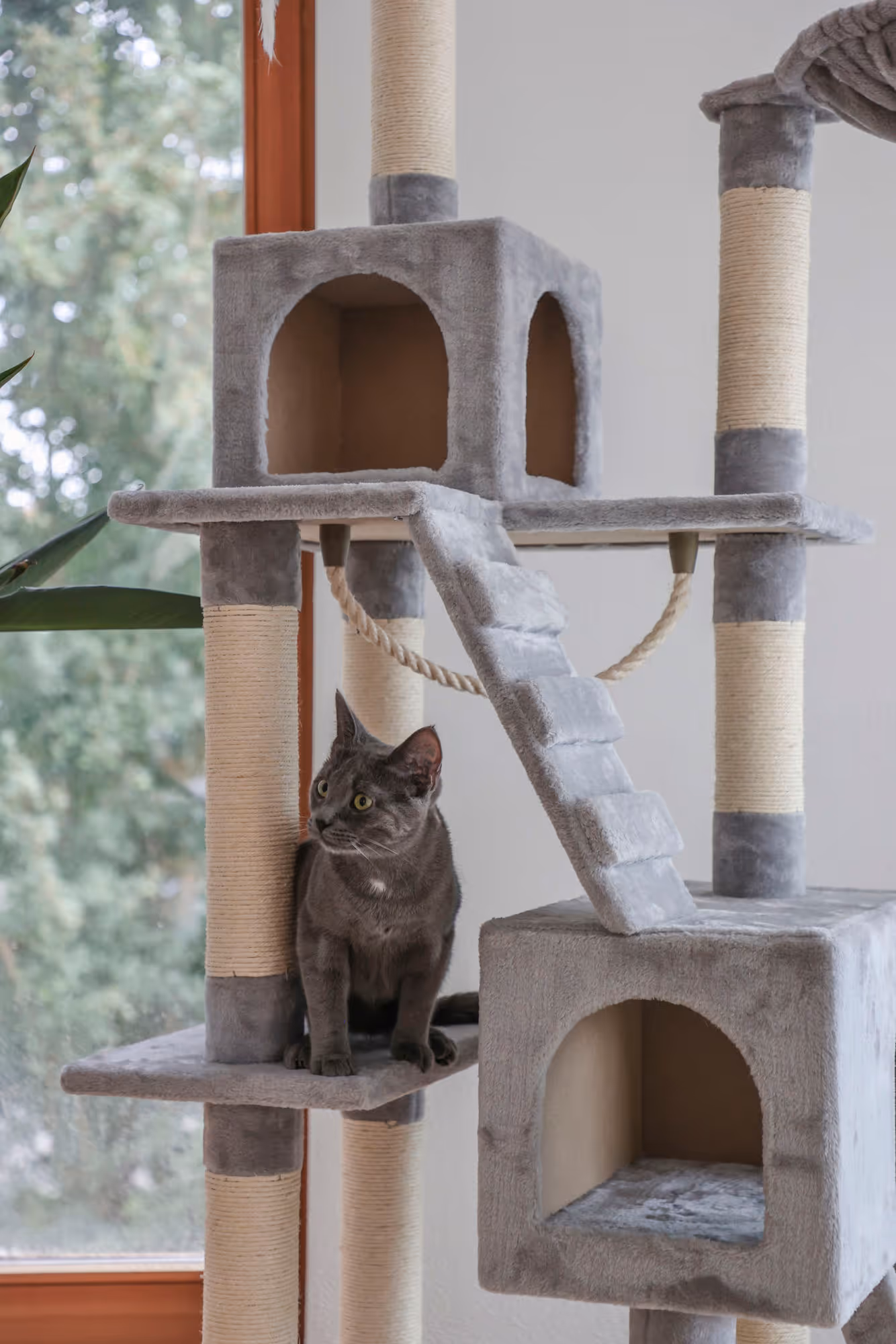 Arbre à chat Square gris clair, 178cm