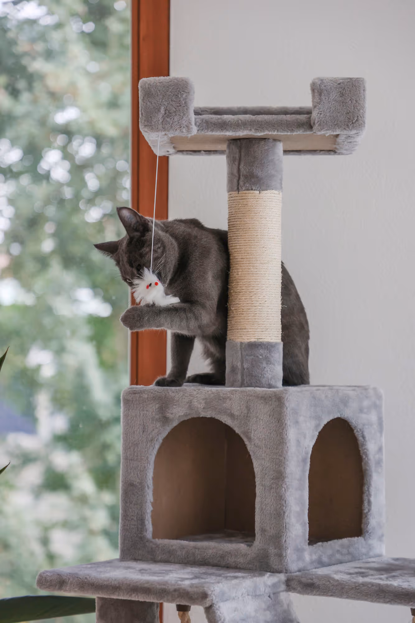 Arbre à chat Square gris clair, 178cm
