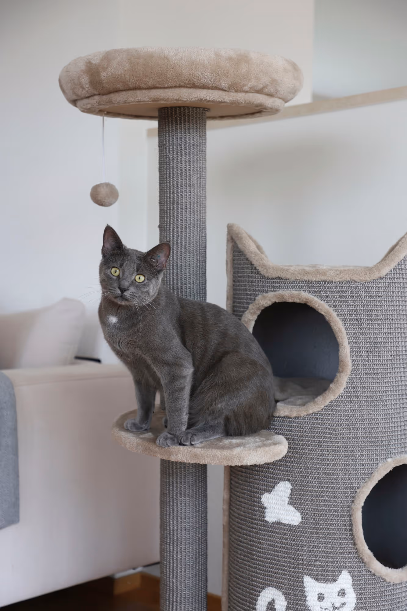 Arbre à chat Tiana gris, 130cm