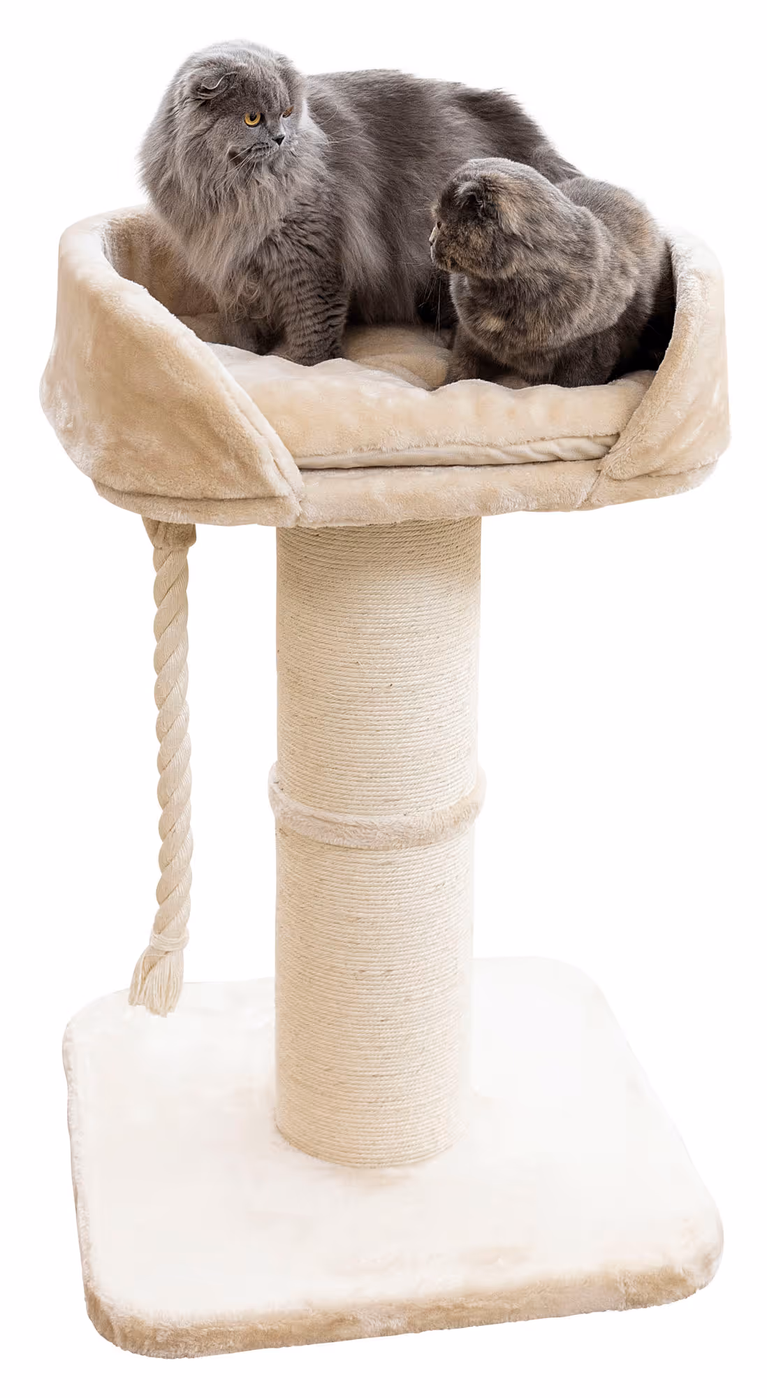 Arbre à chat Toni XL beige, 58x58x93cm