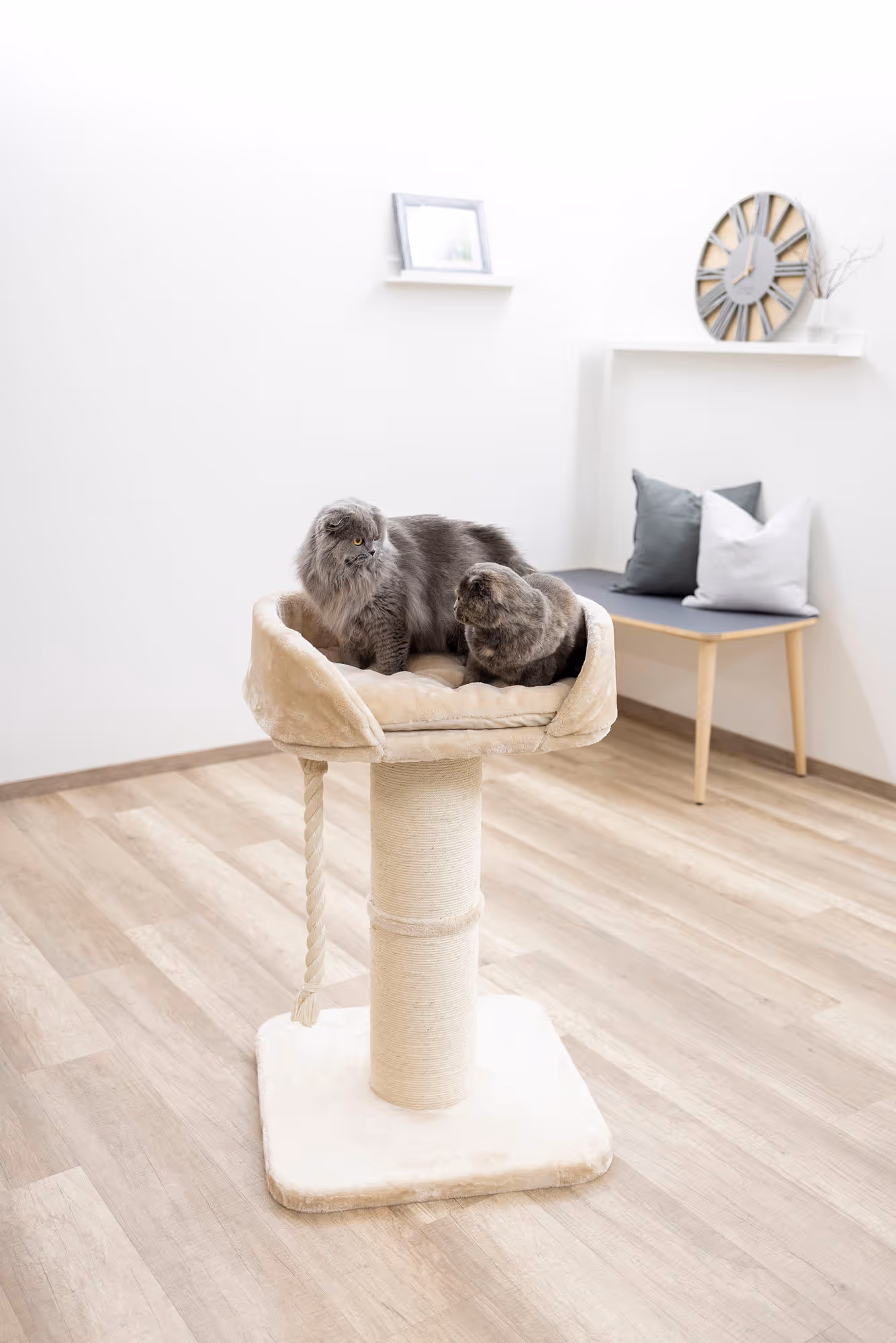 Arbre à chat Toni XL beige, 58x58x93cm