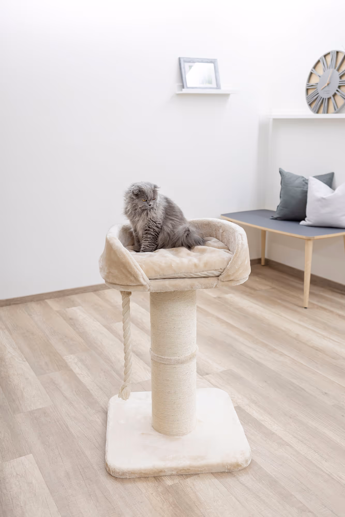 Arbre à chat Toni XL beige, 58x58x93cm