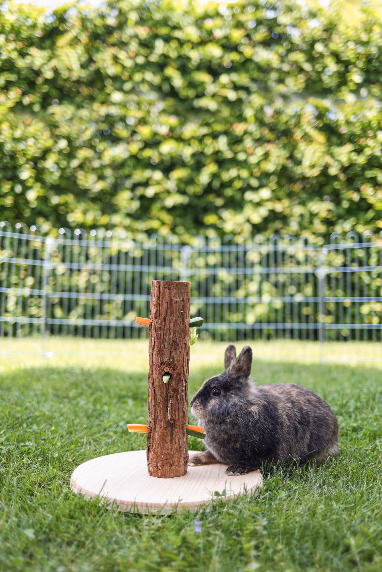 Arbre à nourriture Nature bois, 30cm