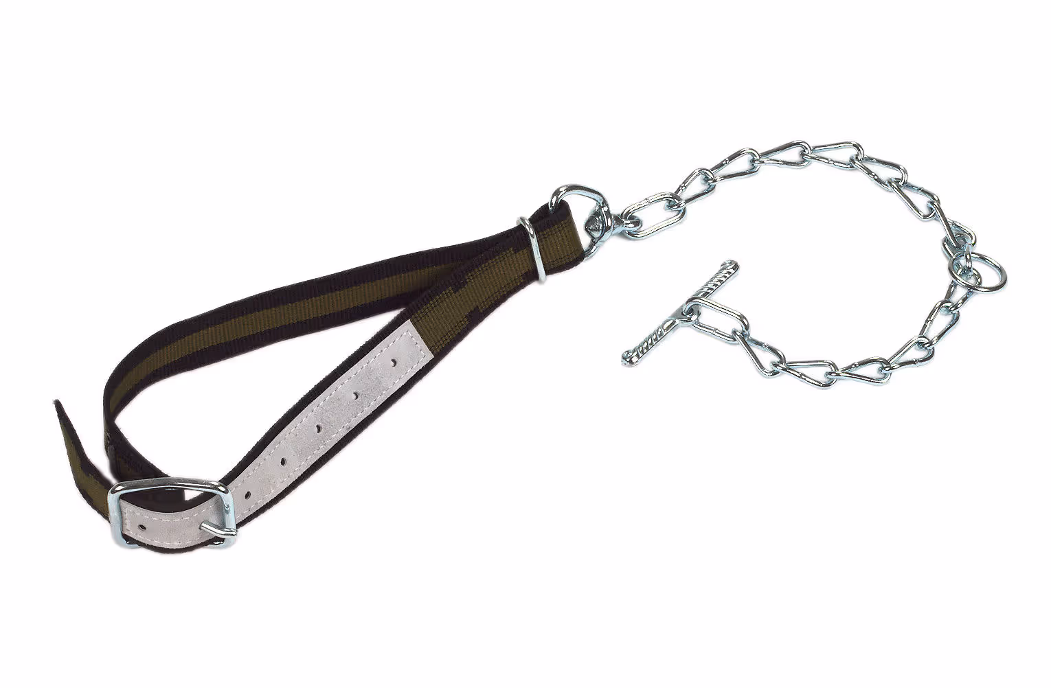 Attache avec collier 100x4cm et chaîne virole anneau D 6mm